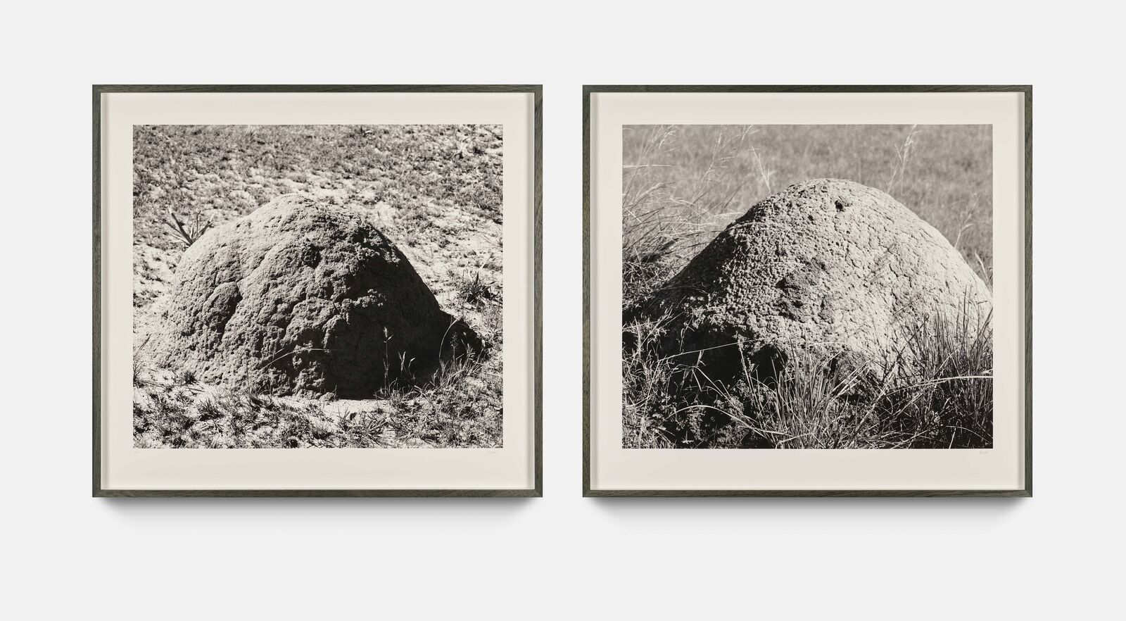 From Termiteria (diptych) by Jeremy Wafer, 2013