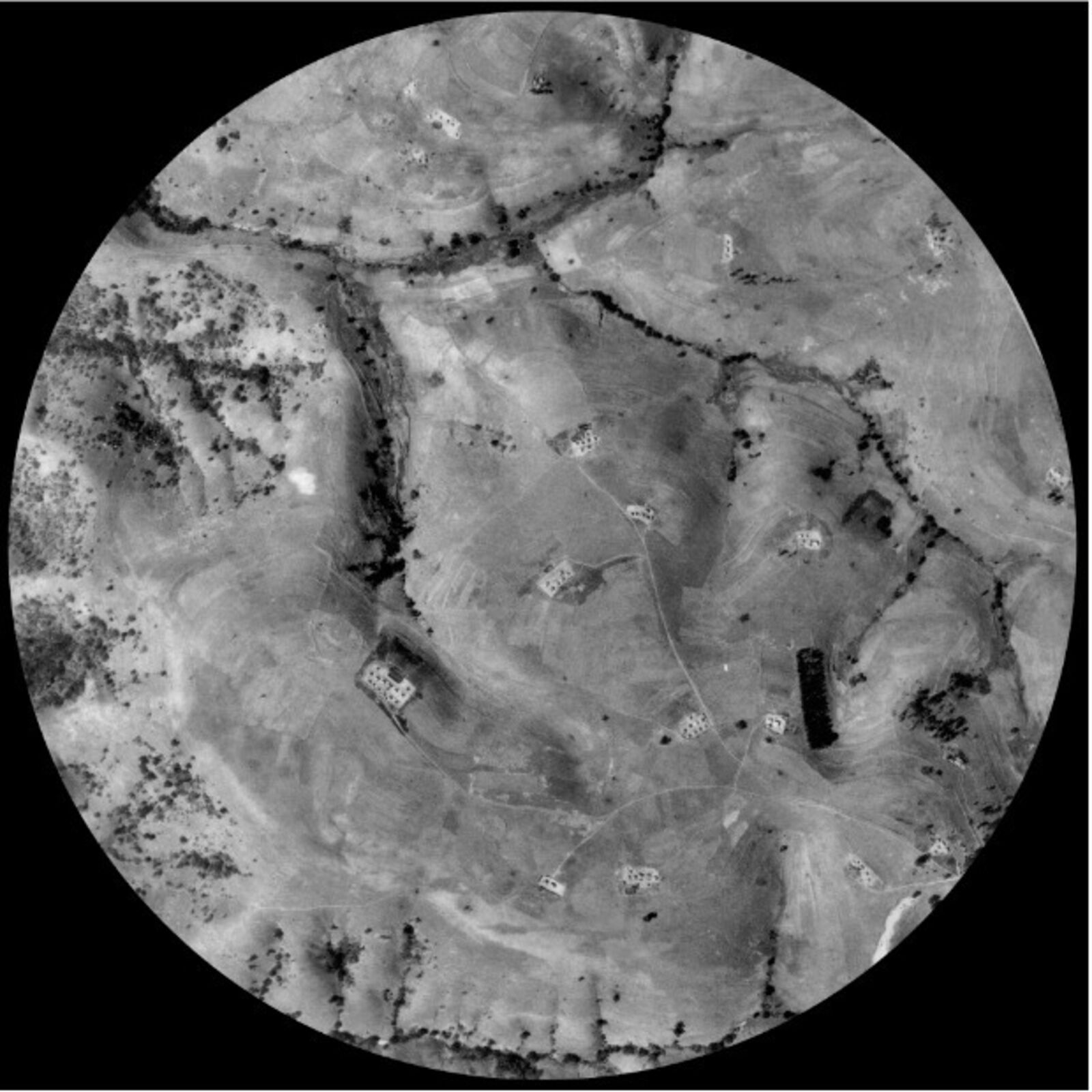 Nhlube by Jeremy Wafer, 2004-2020