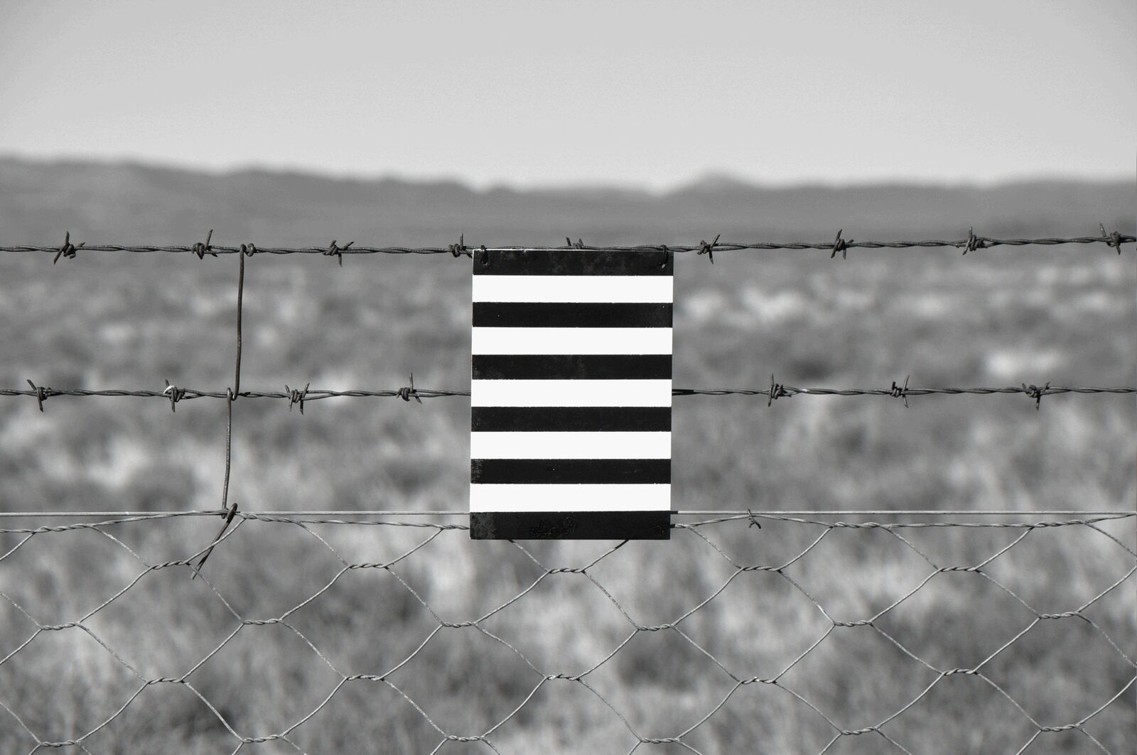 Richmond Fence by Jeremy Wafer, 2017