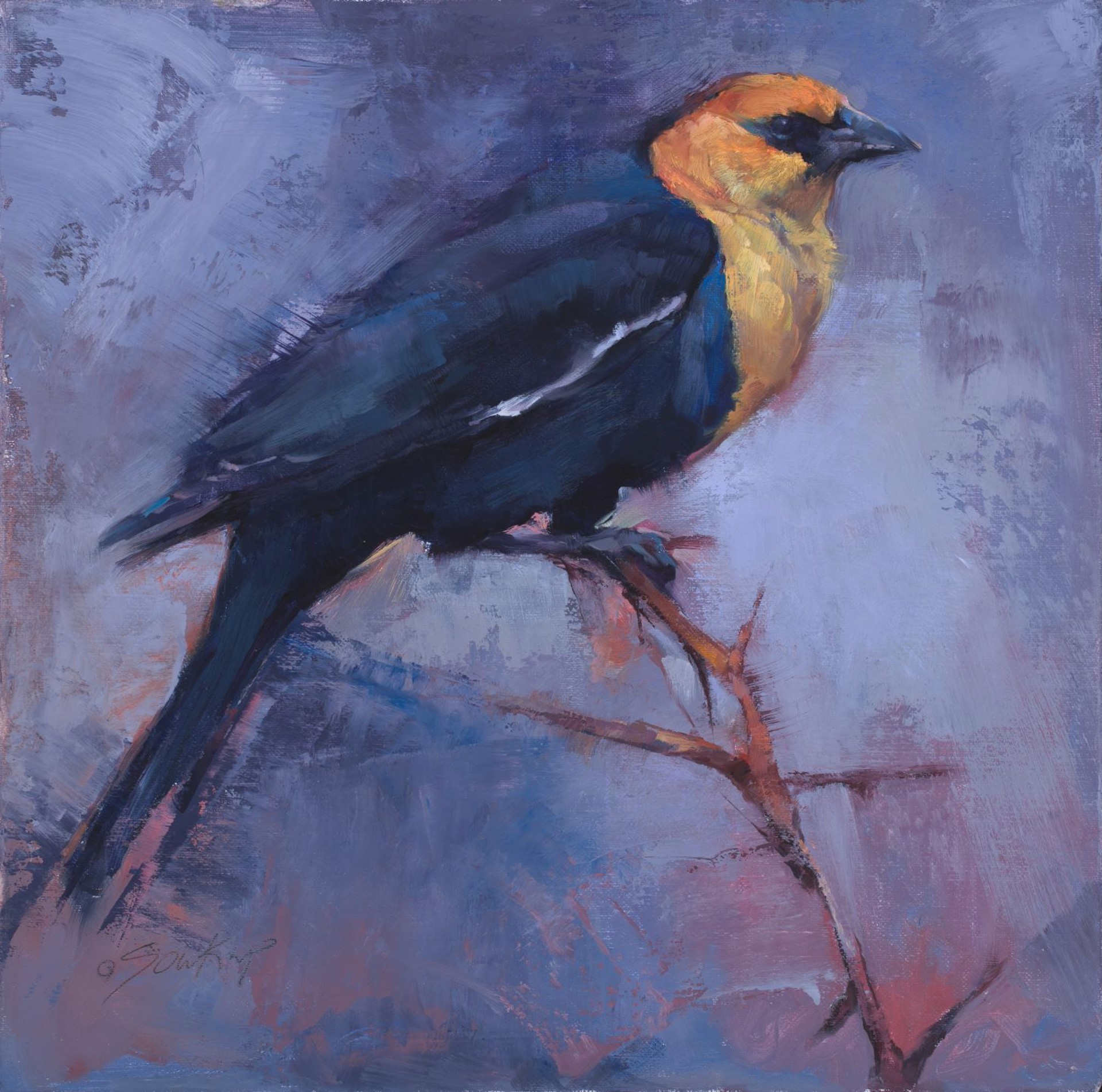 Yellow Headed Blackbird by Jill Soukup, 2017