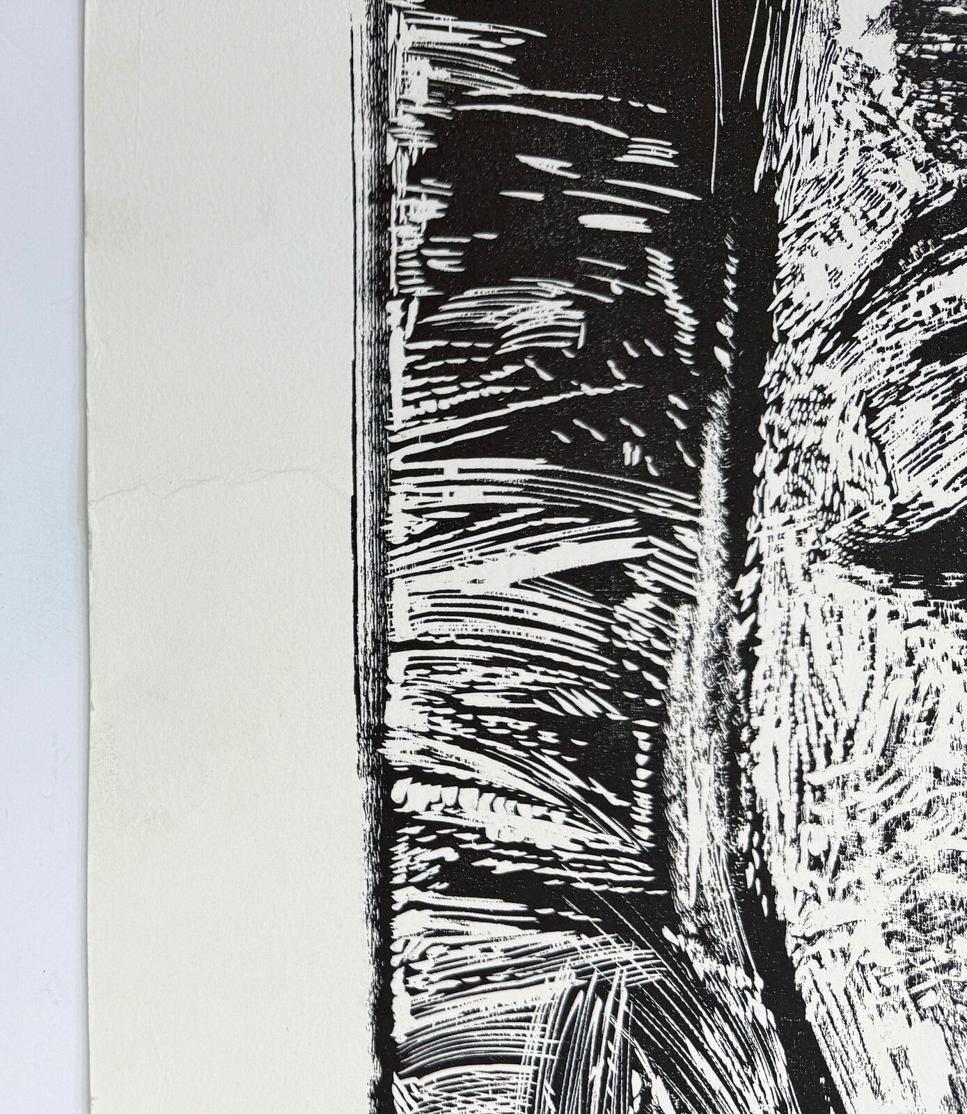 A high-contrast woodcut portrait of a face rendered with heavy, textured lines.