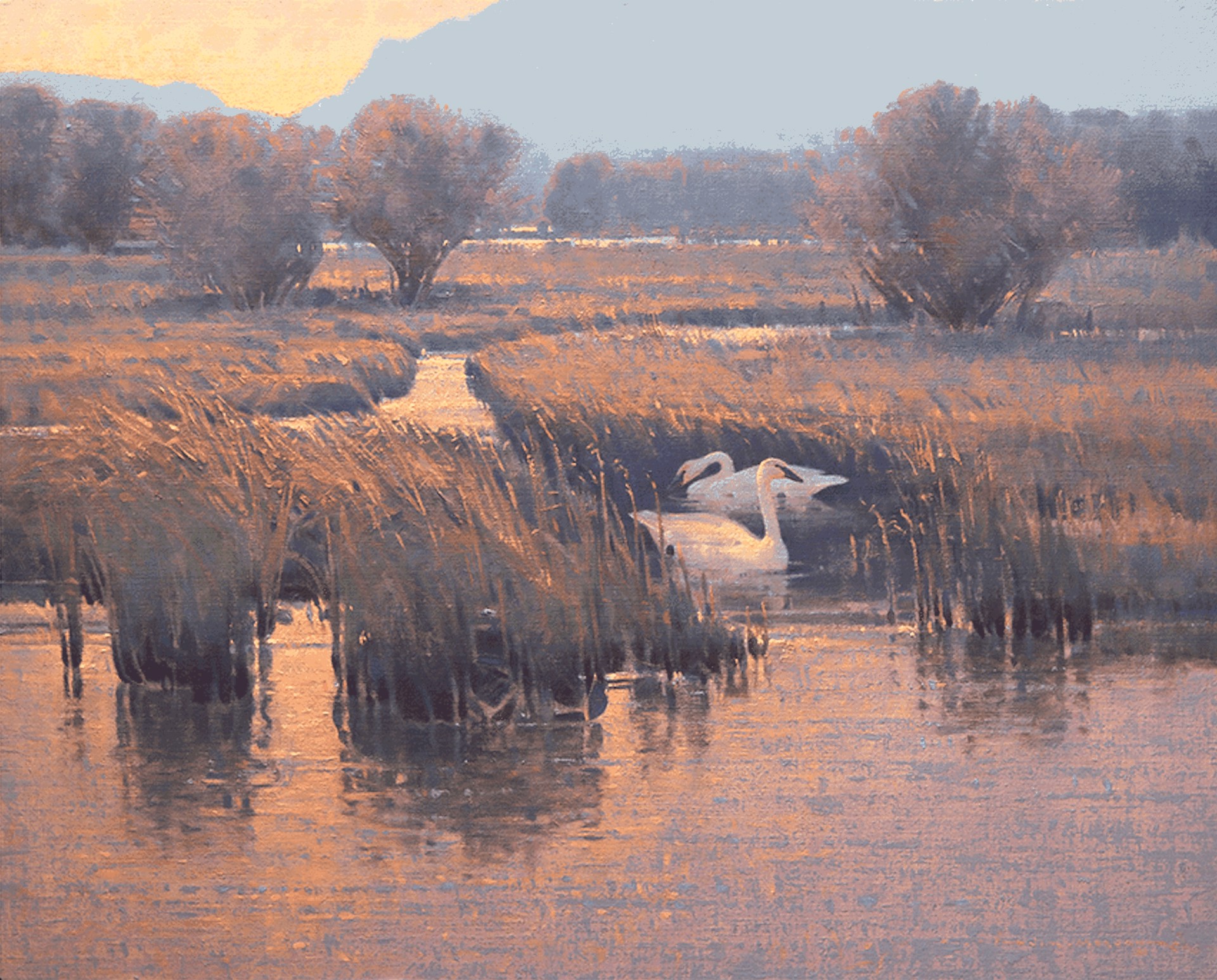 A serene painting of swans in a marsh at golden hour.