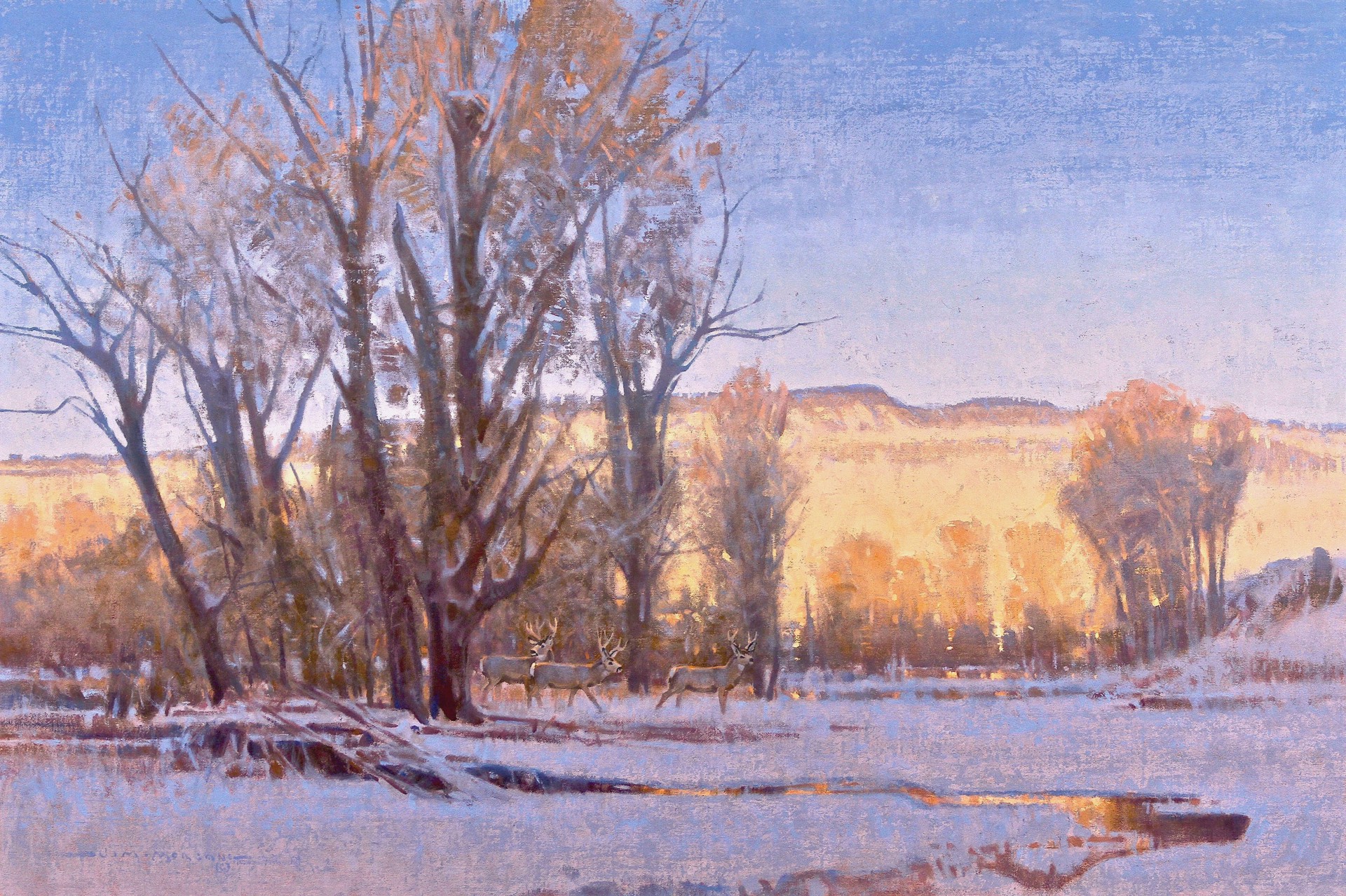 Golden Hour Along the Yampa River by Jim Morgan, 2023