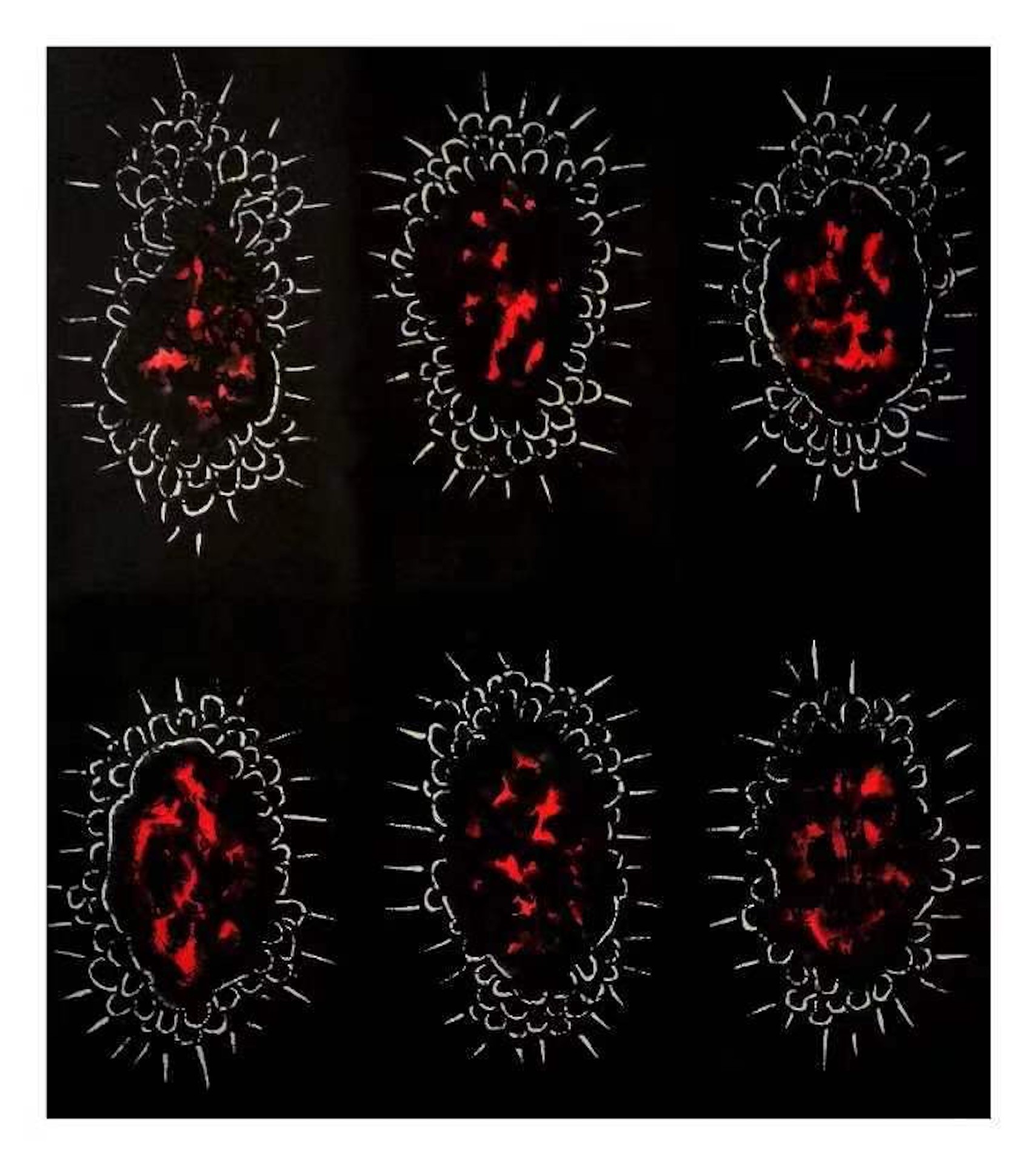 A set of six red and black viruses on a black background.