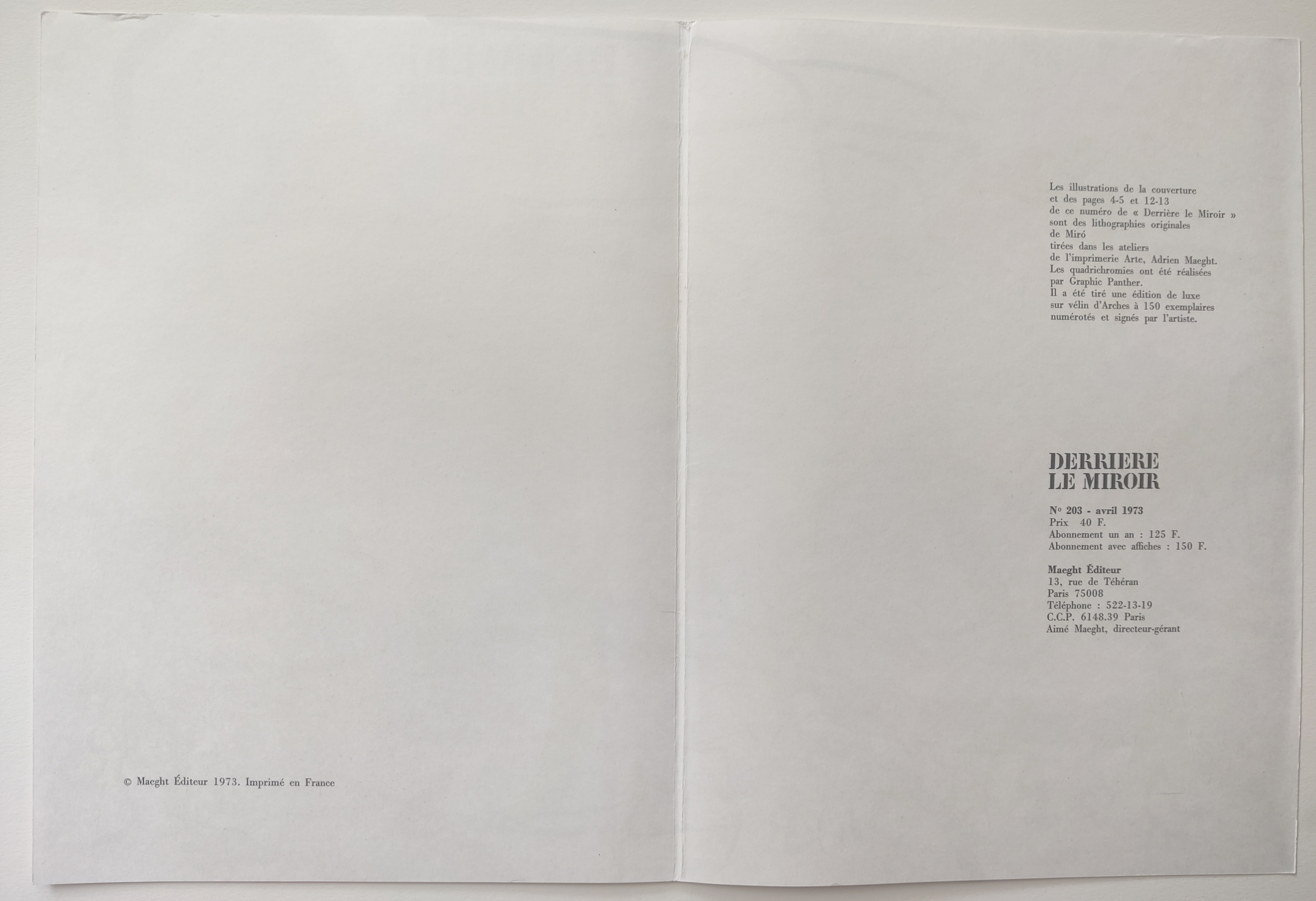 A painting of a black cat on a colorful background.