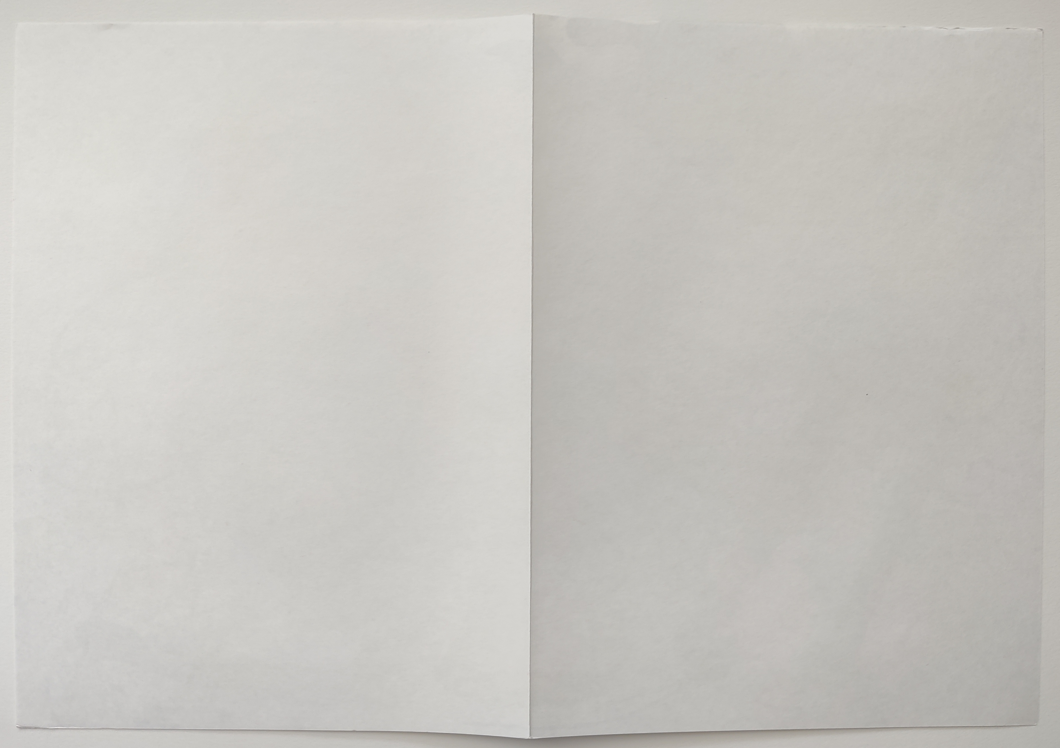 A painting of a dog's face on a yellow background.