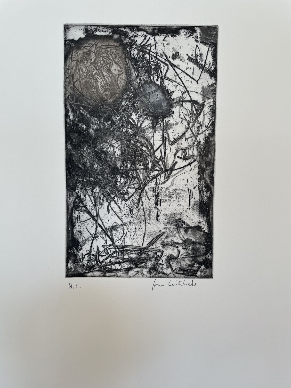 Artwork by Joan Mitchell, Sunflower I, Made of Etching and aquatint 