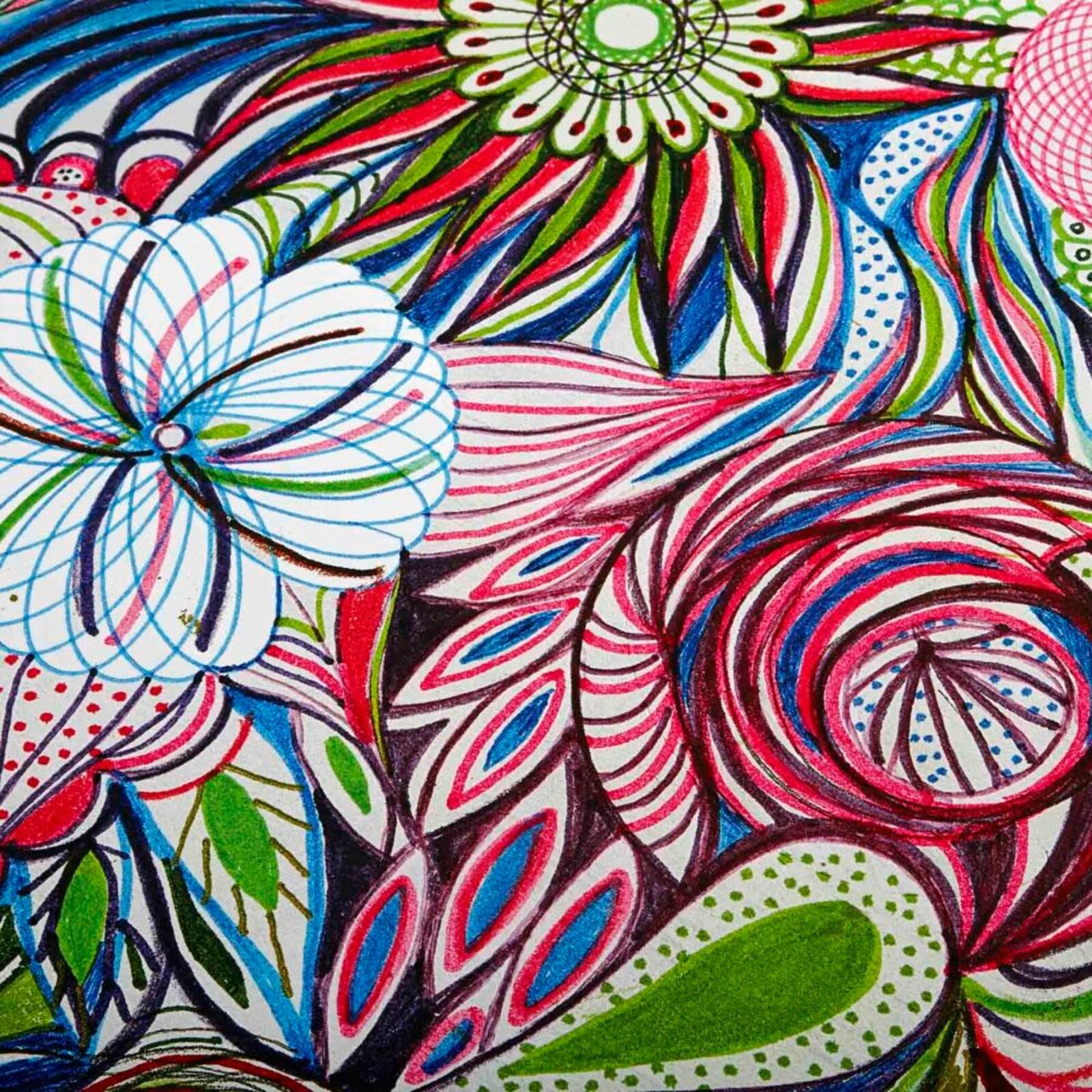 A colorful, intricate floral illustration filled with swirling patterns and vibrant hues.
