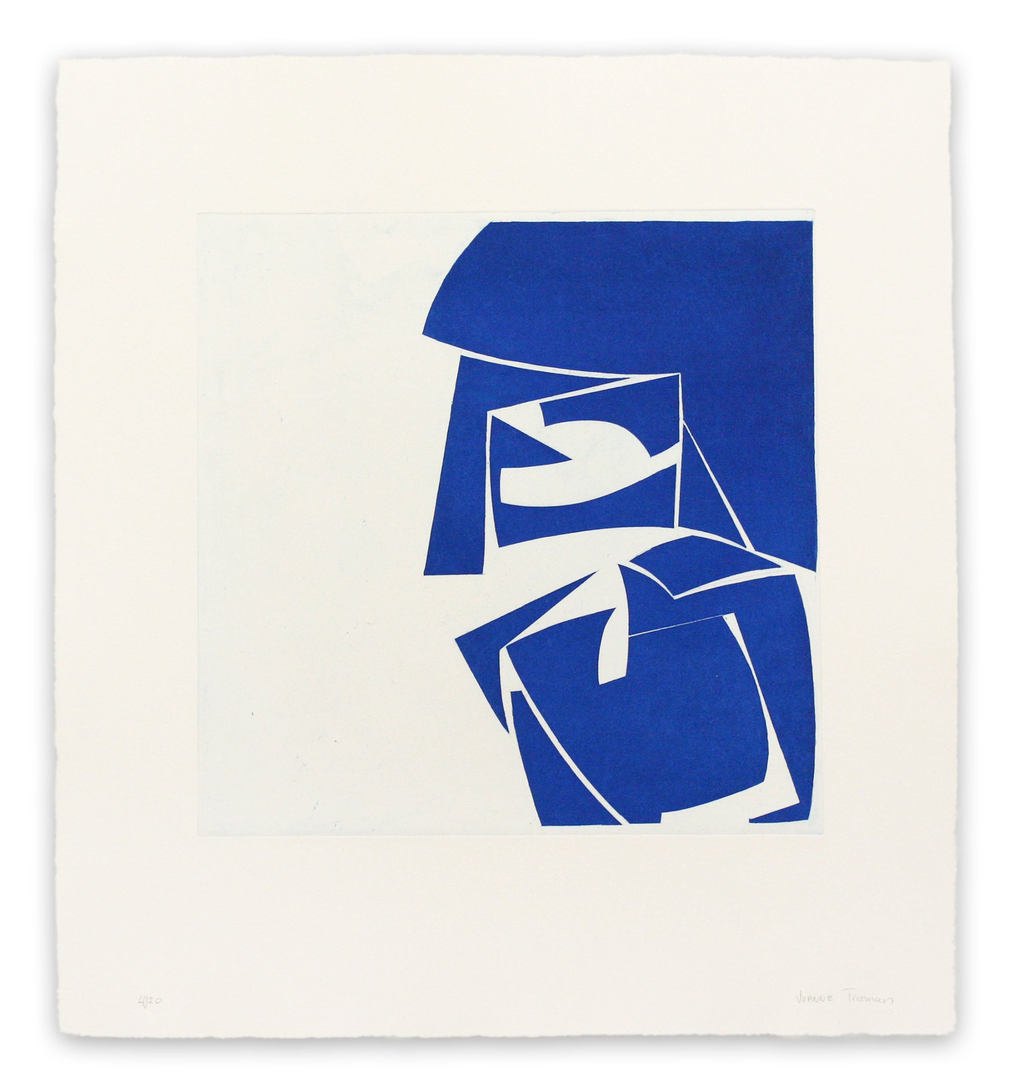A blue and white print of a woman's face.