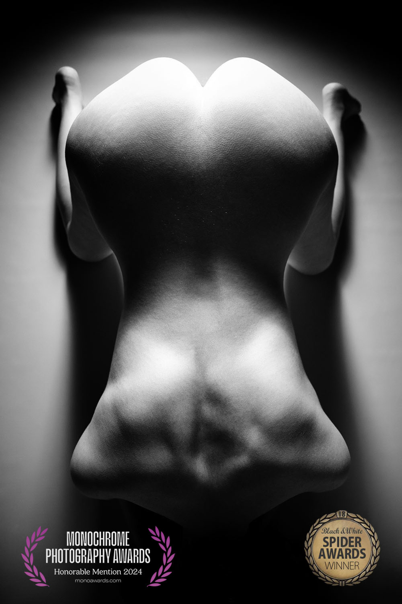A black and white photo of a nude woman's back.