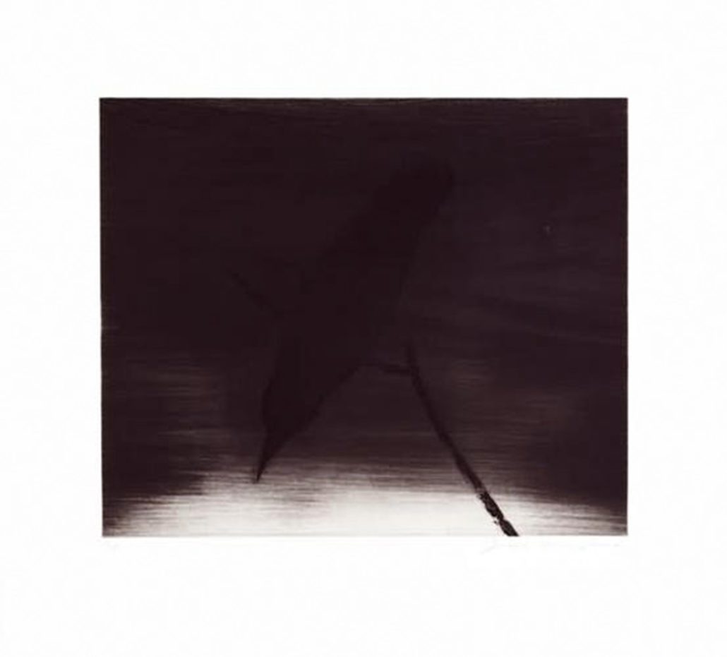 Crow II by Joe Andoe, 1996