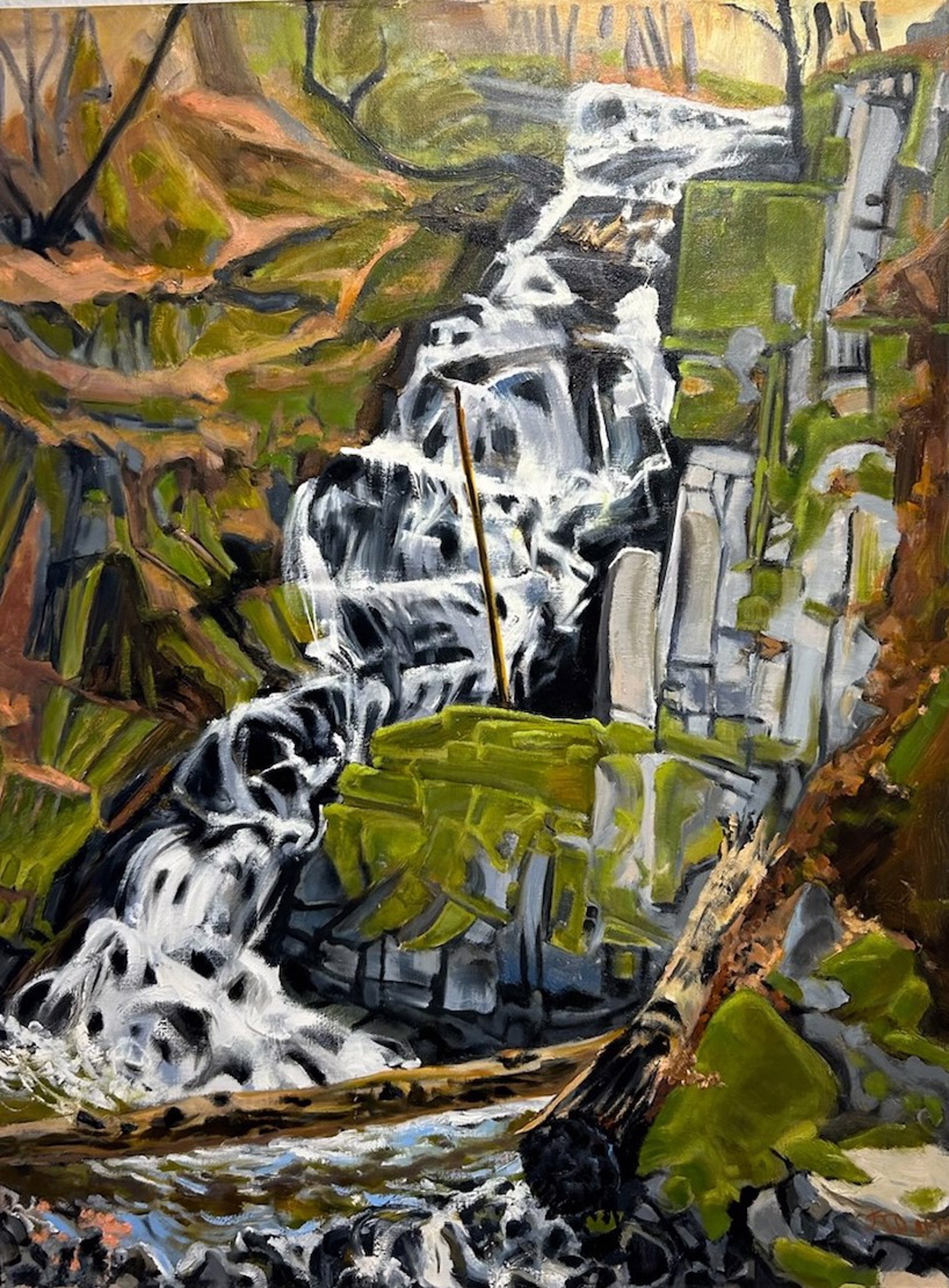 Boulder Creek Falls by Joellyn Duesberry, 2012
