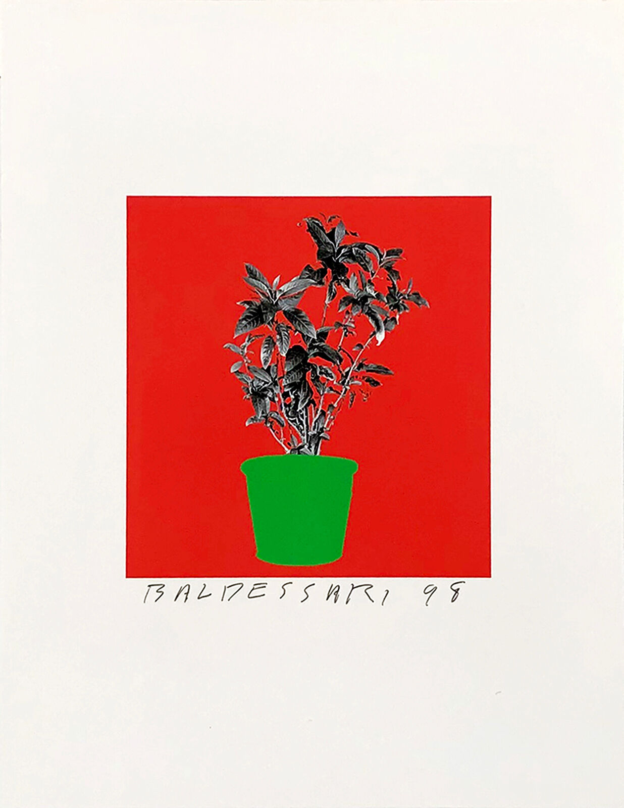 Artwork by John Baldessari, UNTITLED (FROM 8 PLANTS X 6 = 48), Made of Inkjet 