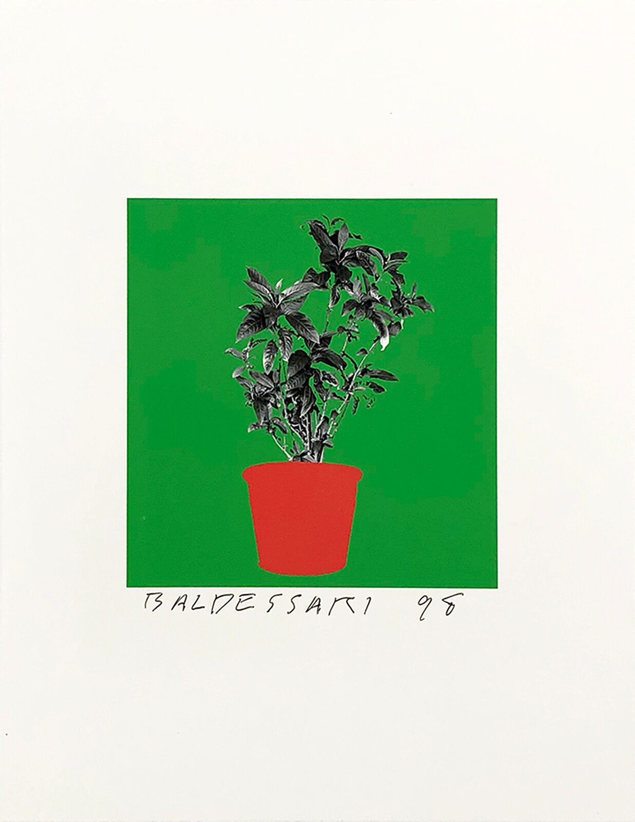 Artwork by John Baldessari, UNTITLED (FROM 8 PLANTS X 6 = 48), Made of Inkjet 
