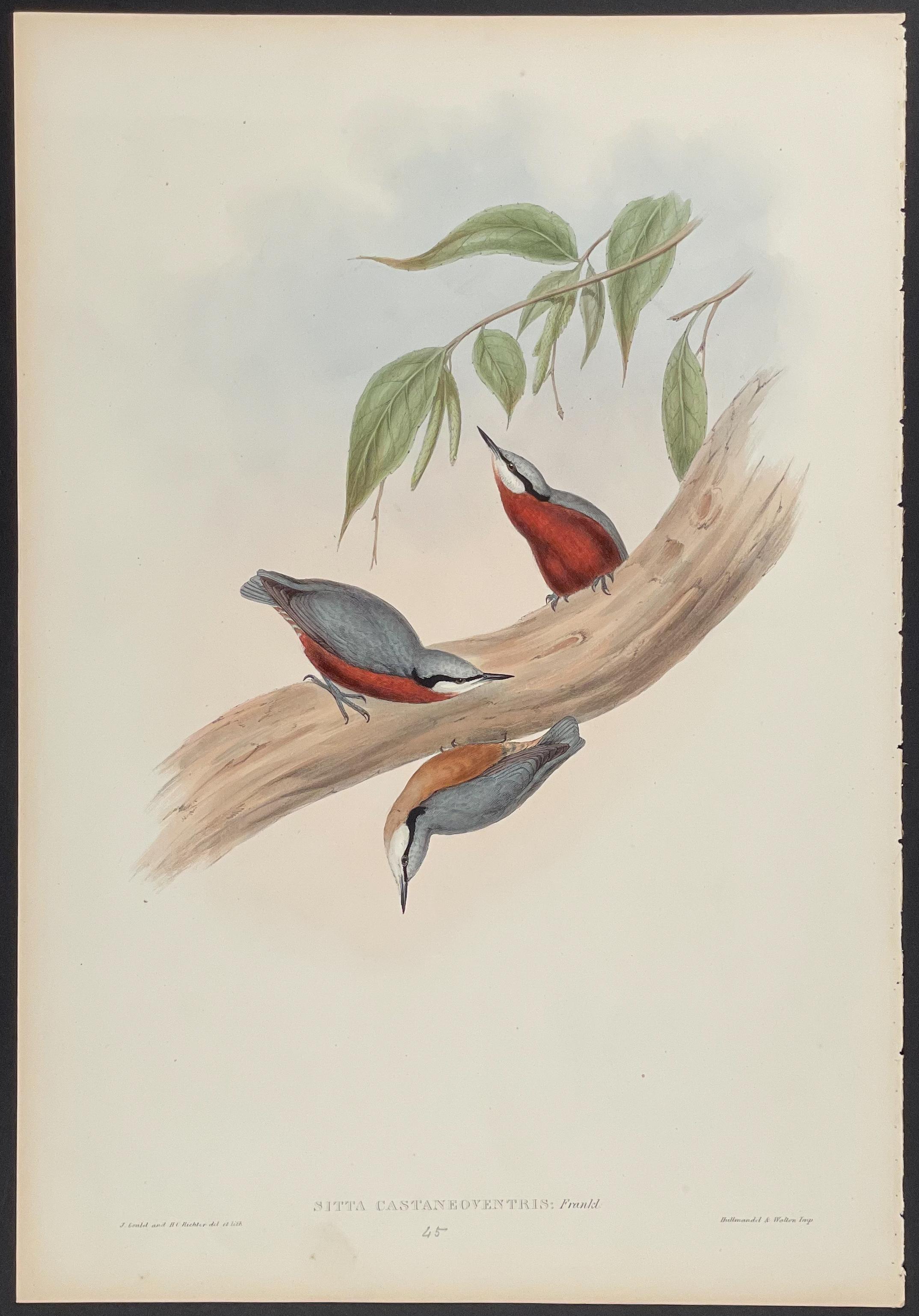 A painting of three birds sitting on a tree branch.