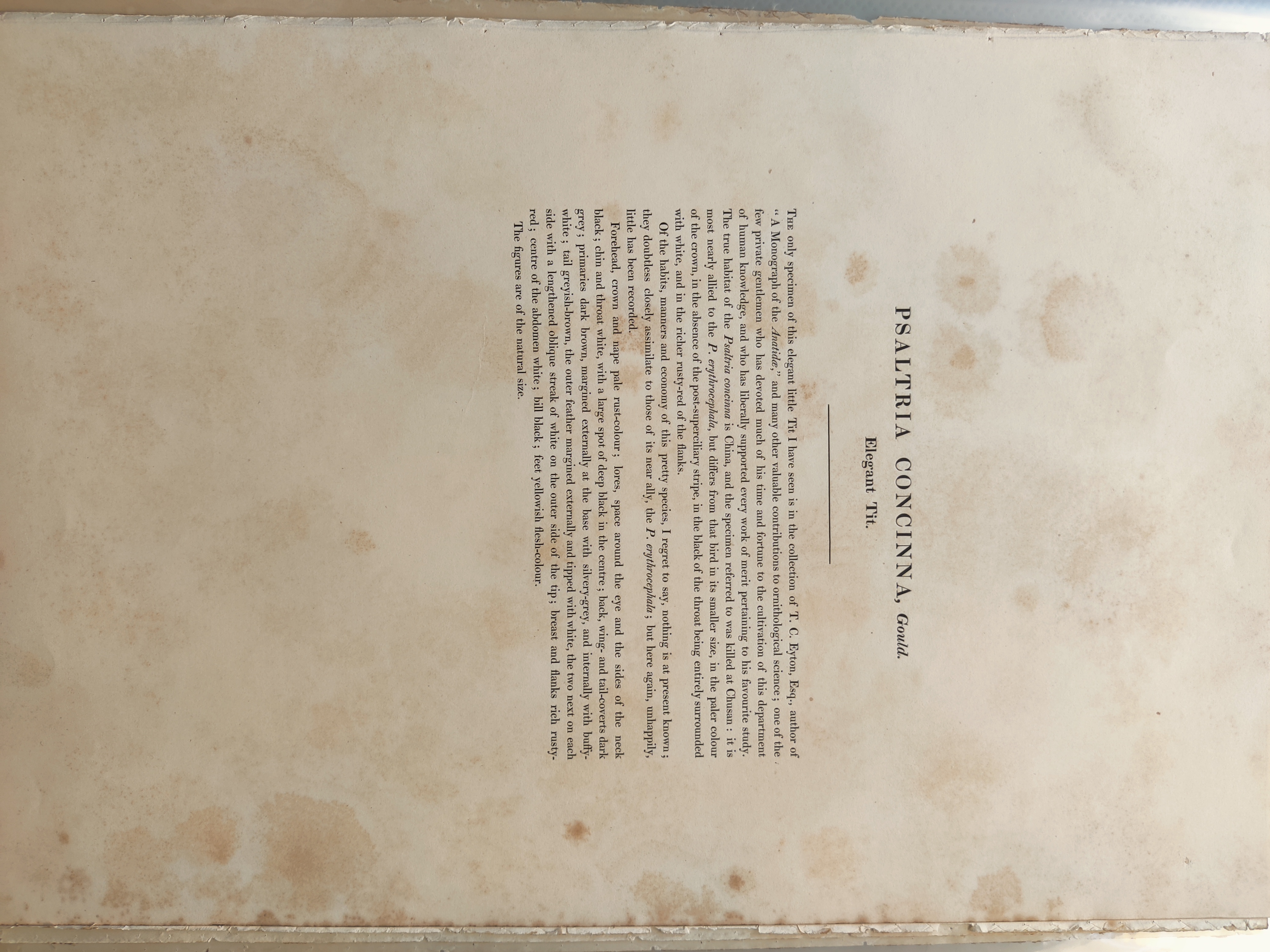 A painting of two birds sitting on a branch of a tree.