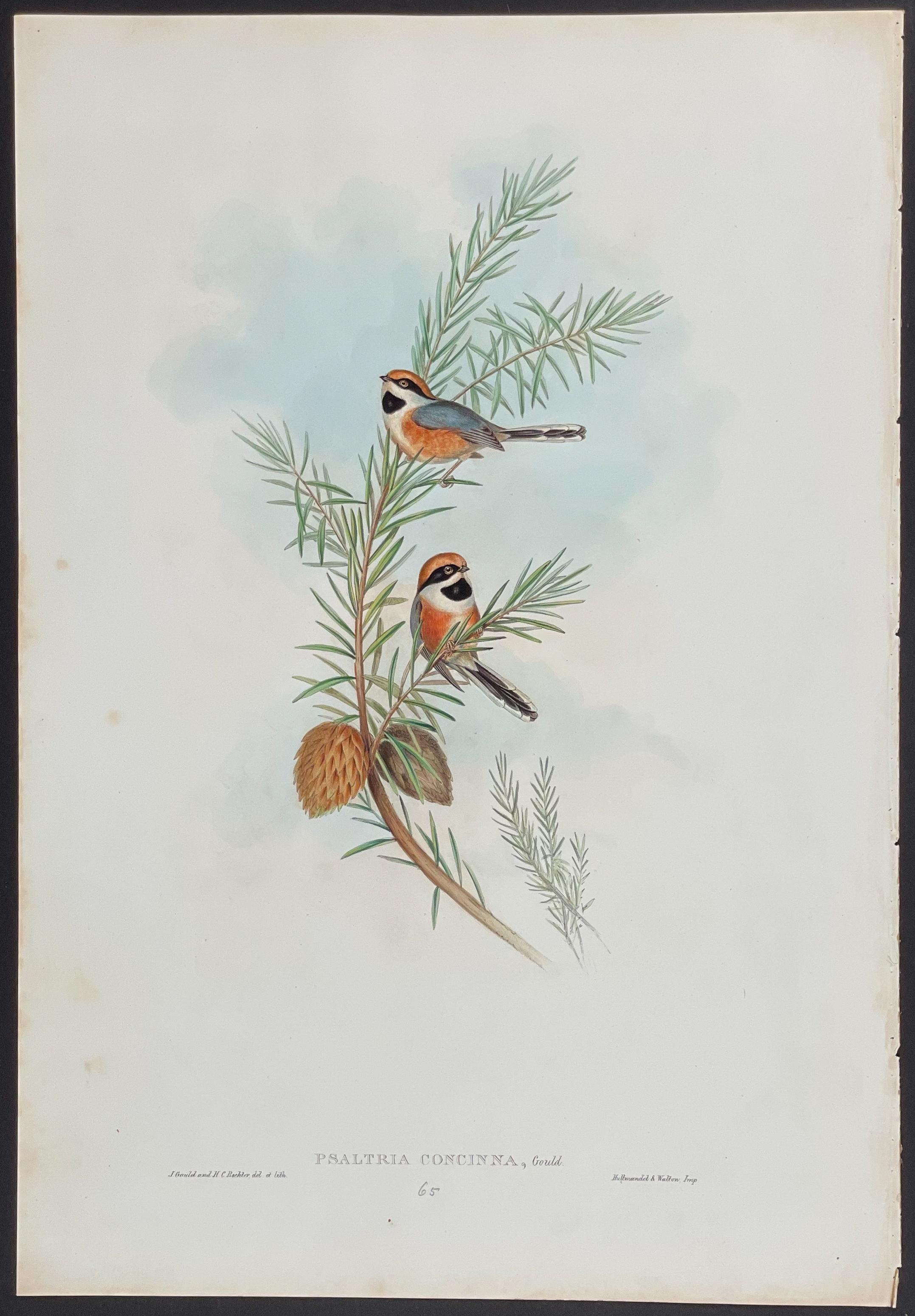A painting of two birds sitting on a branch of a tree.