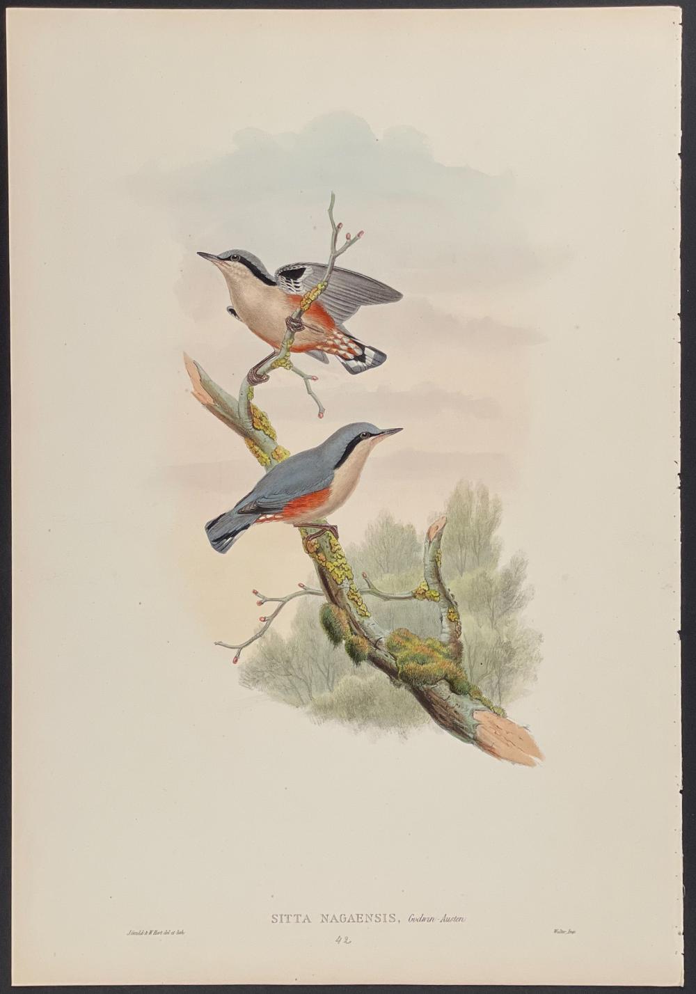A couple of birds sitting on top of a tree branch.
