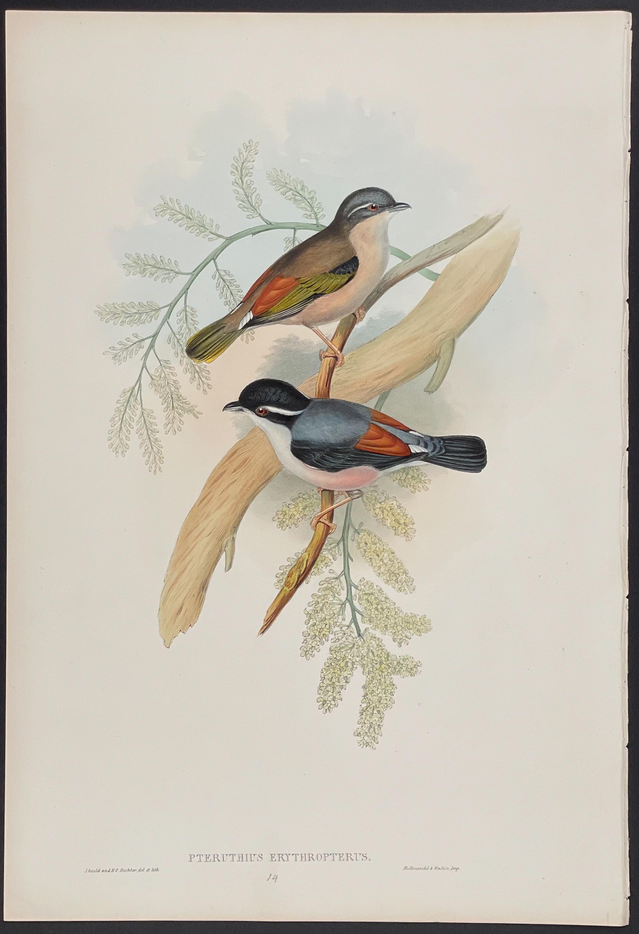 A couple of birds sitting on top of a tree branch.
