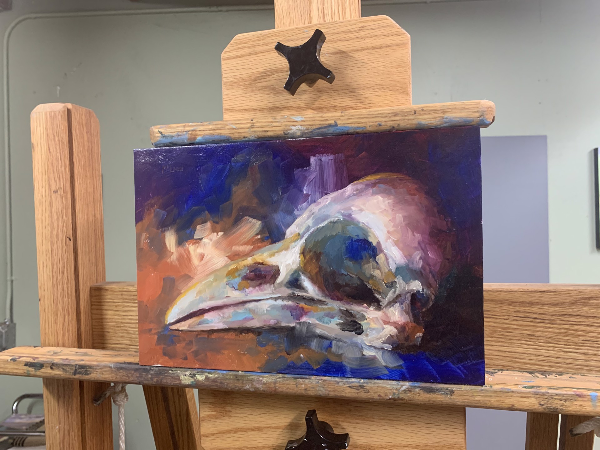 A painting of a bird skull on a colorful background.