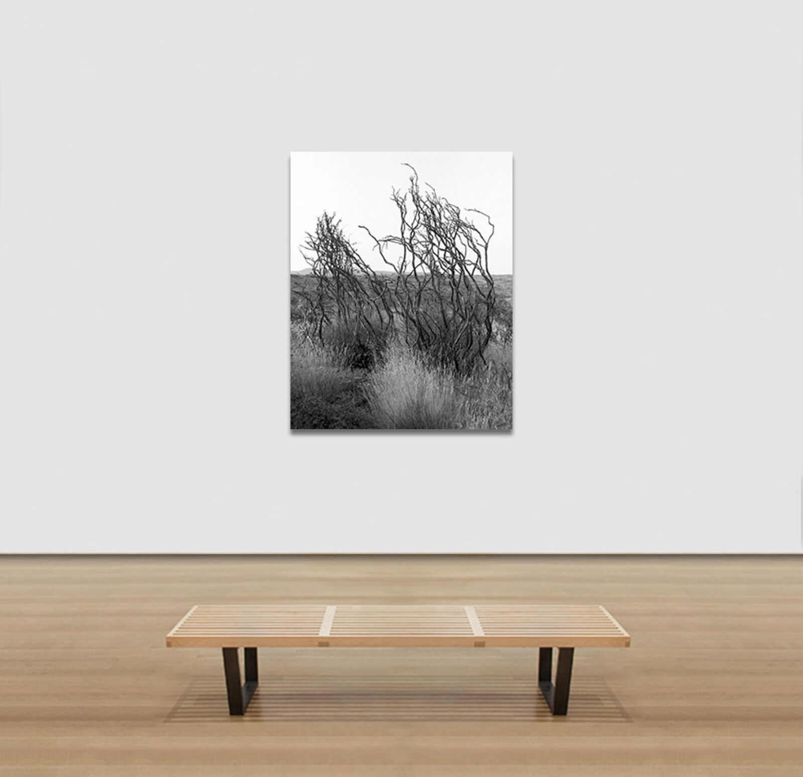 Artwork by John Stathatos, Homage to Heraclitus: Fire I, Made of Archival Giclée Pigment Print on Hahnemuhle Barita Paper 