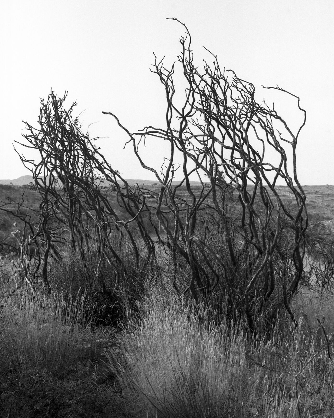 Homage to Heraclitus: Fire I by John Stathatos, 1991