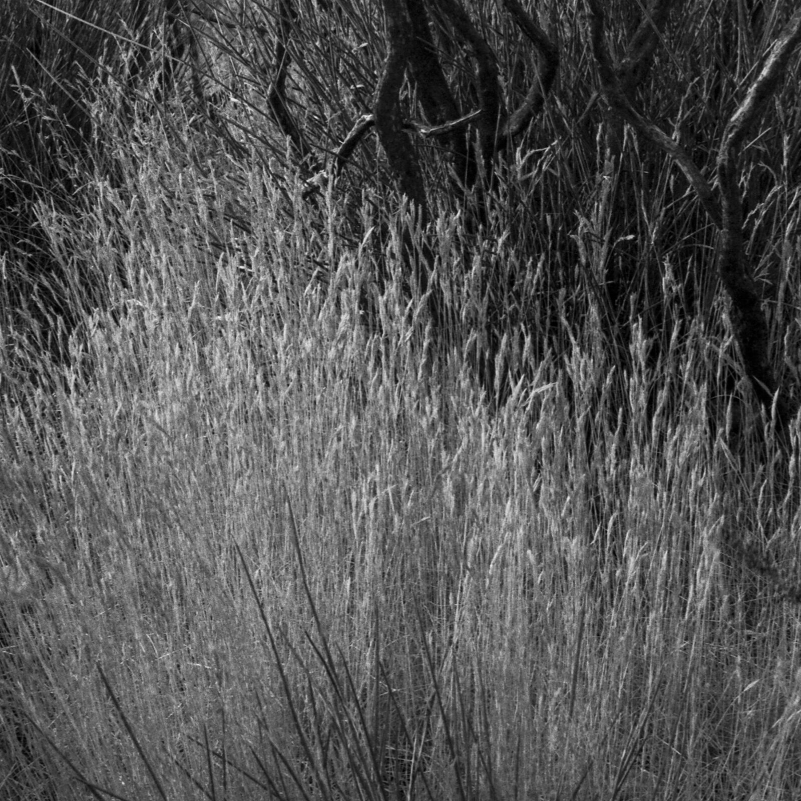 Artwork by John Stathatos, Homage to Heraclitus: Fire I, Made of Archival Giclée Pigment Print on Hahnemuhle Barita Paper 