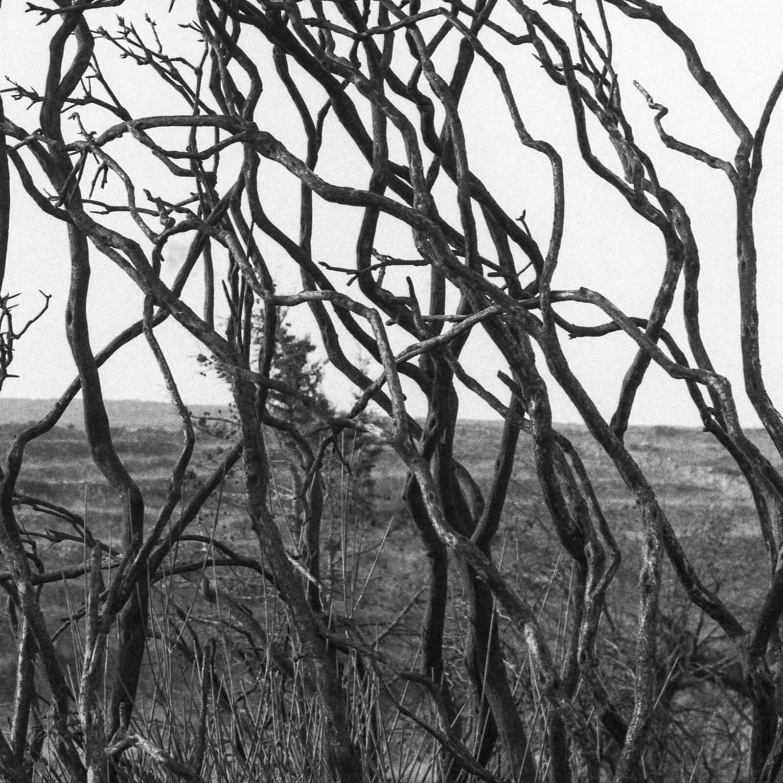 Artwork by John Stathatos, Homage to Heraclitus: Fire I, Made of Archival Giclée Pigment Print on Hahnemuhle Barita Paper 