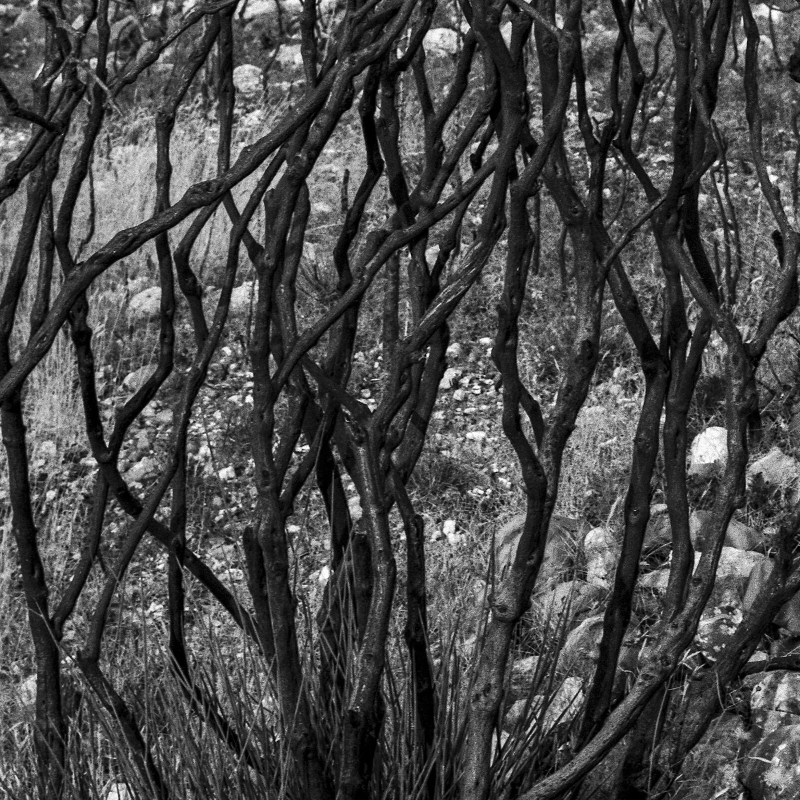 Artwork by John Stathatos, Homage to Heraclitus: Fire III, Made of Archival Giclée Pigment Print on Hahnemuhle Barita Paper 