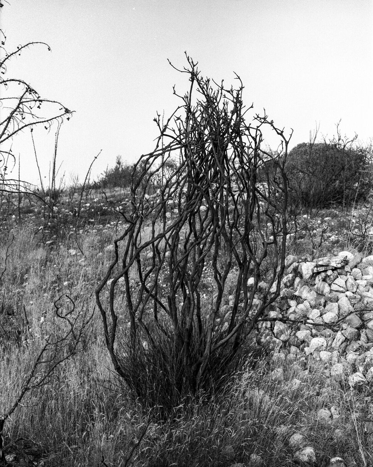 Homage to Heraclitus: Fire III by John Stathatos, 1991
