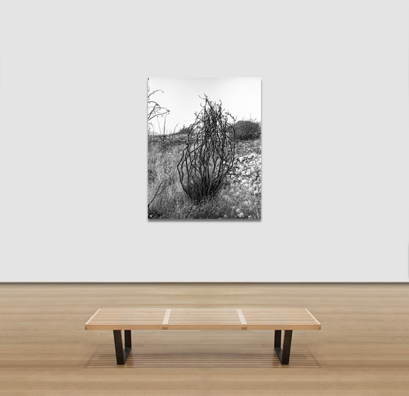 Artwork by John Stathatos, Homage to Heraclitus: Fire III, Made of Archival Giclée Pigment Print on Hahnemuhle Barita Paper 