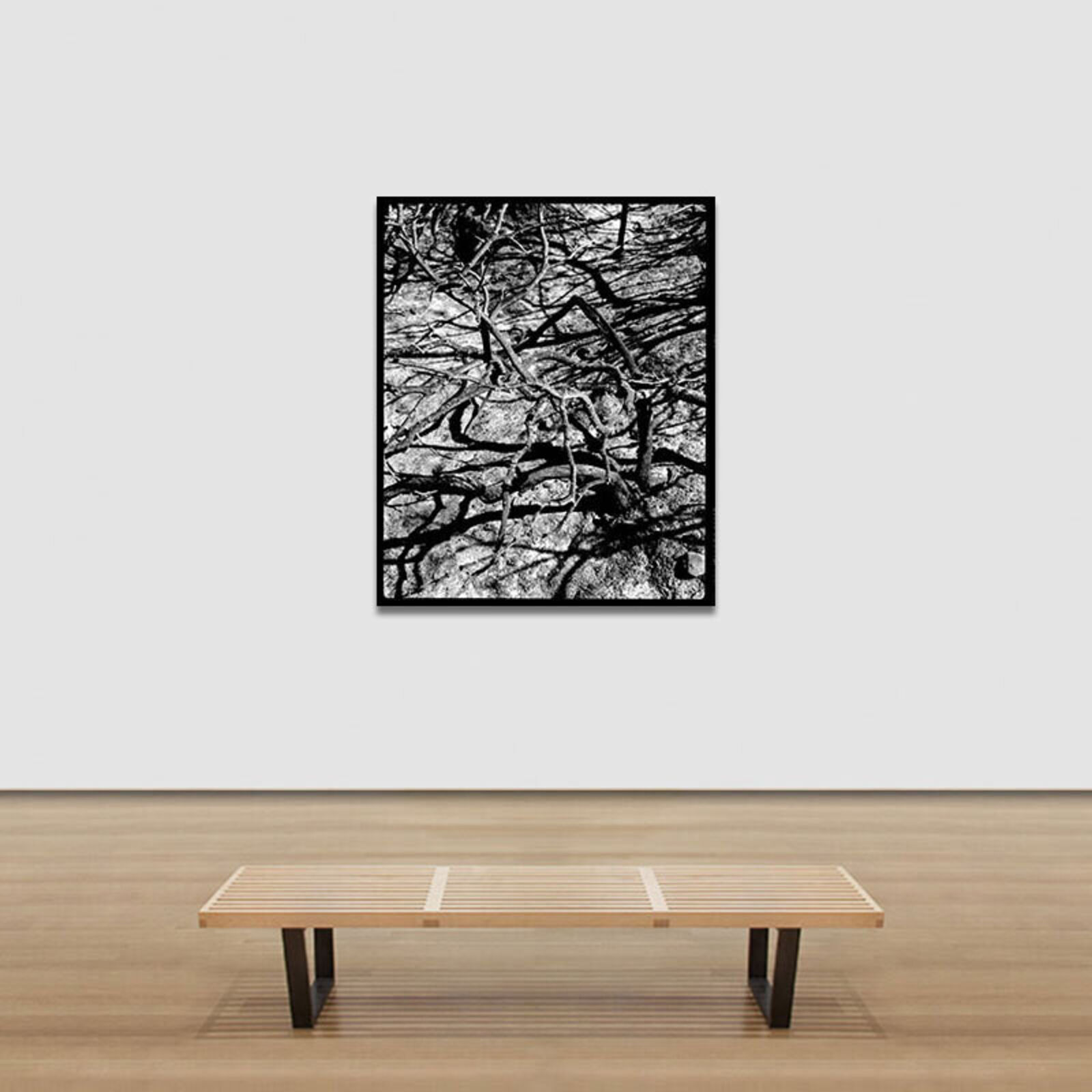 A black and white photo of a tree in the desert.