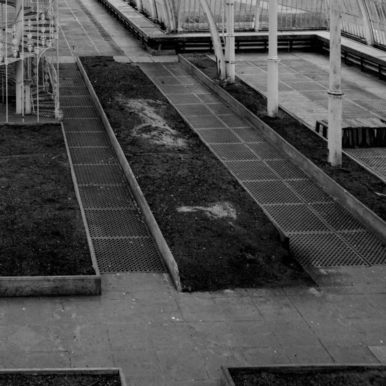 A black and white photo of a greenhouse with a spiral staircase.