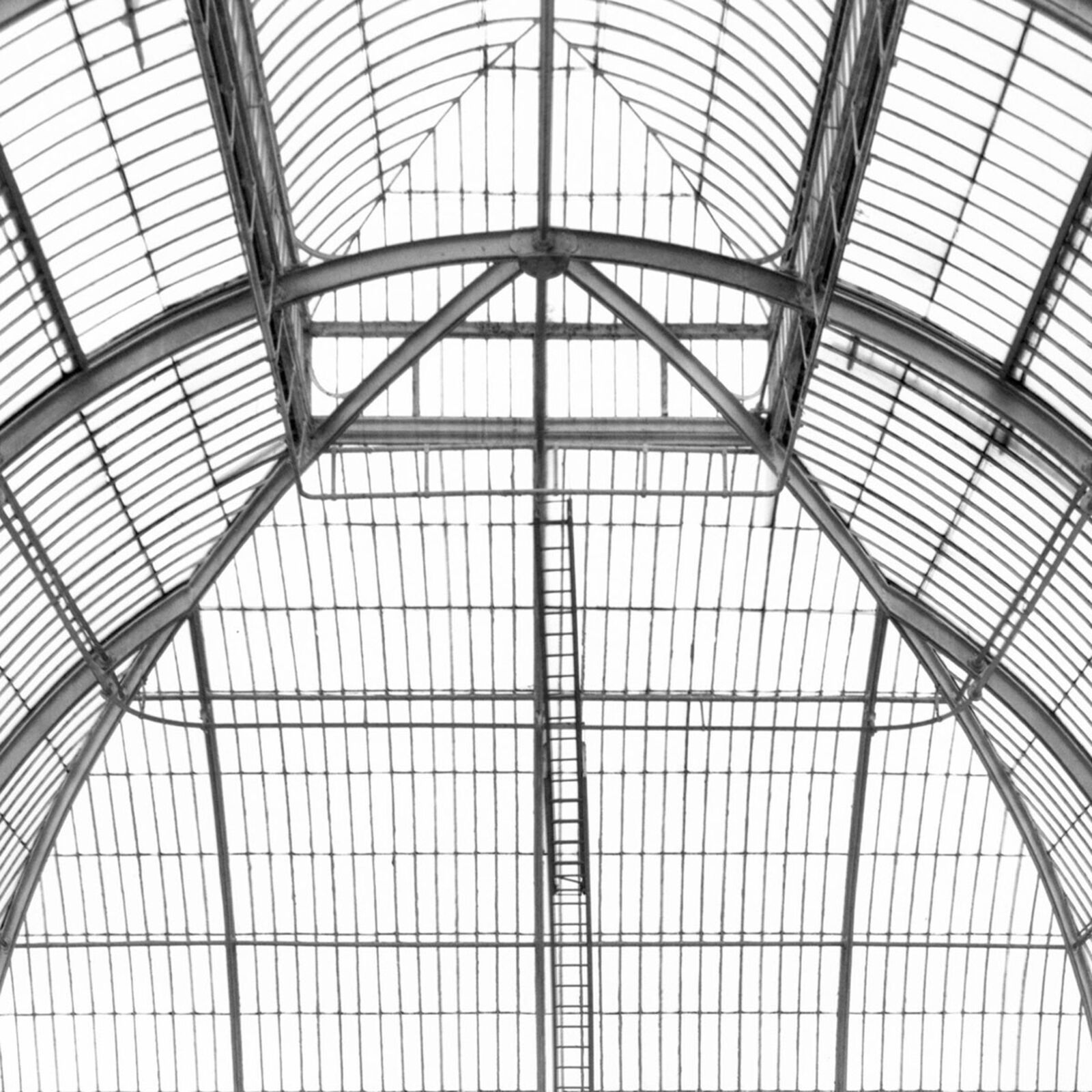 A black and white photo of a greenhouse with a spiral staircase.