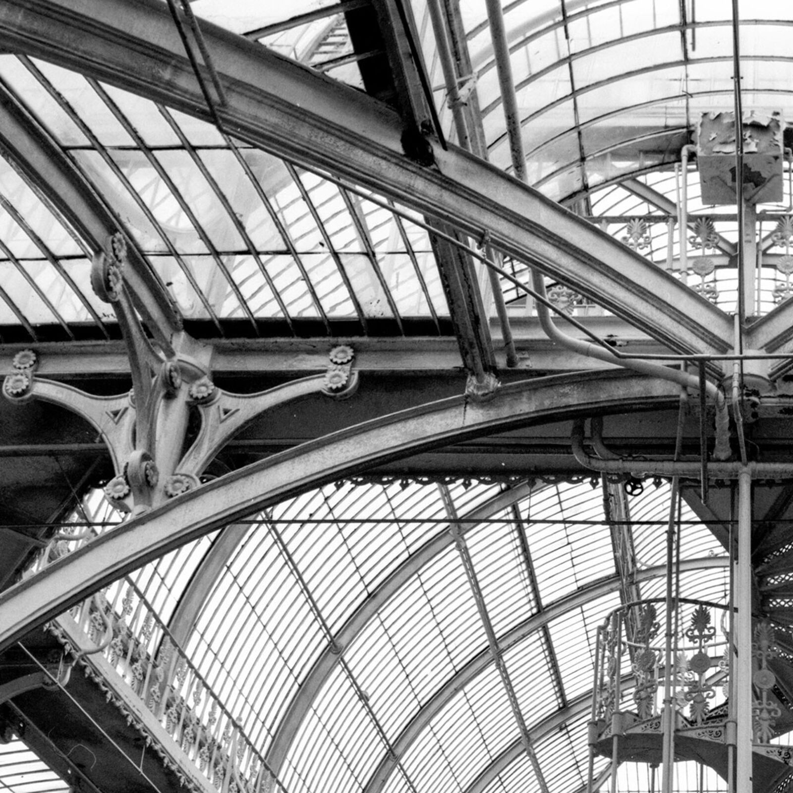 Artwork by John Stathatos, Arboretum V, Made of Archival Giclée Pigment Print 