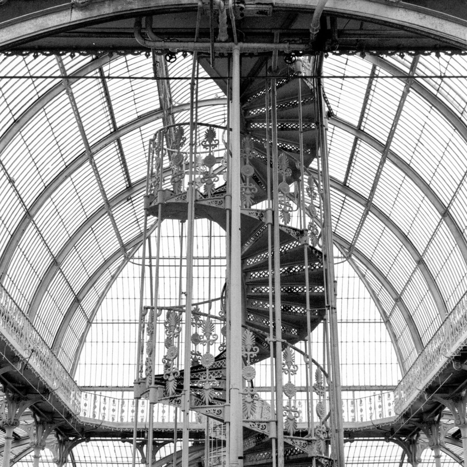 Artwork by John Stathatos, Arboretum V, Made of Archival Giclée Pigment Print 