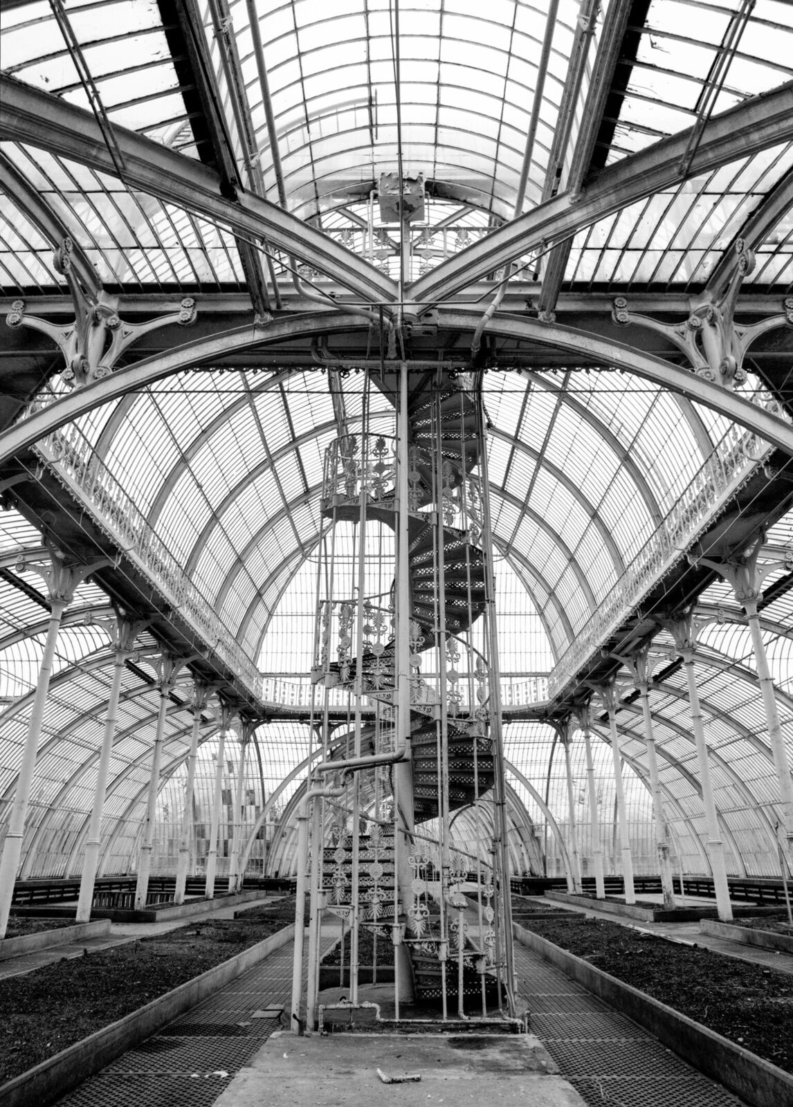 Arboretum V by John Stathatos, 2006