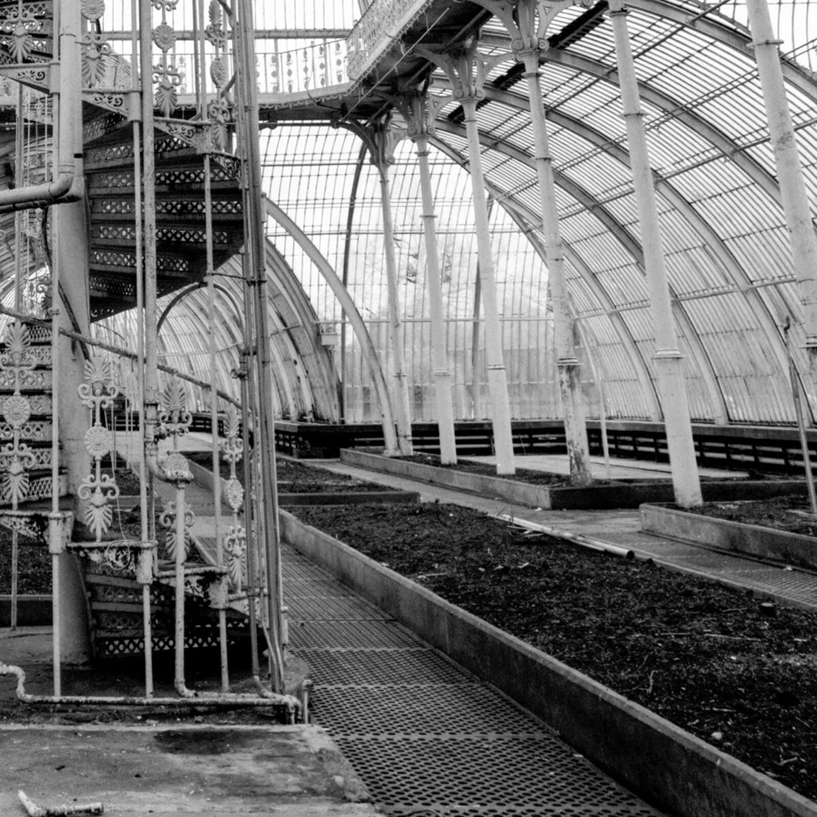 Artwork by John Stathatos, Arboretum V, Made of Archival Giclée Pigment Print 