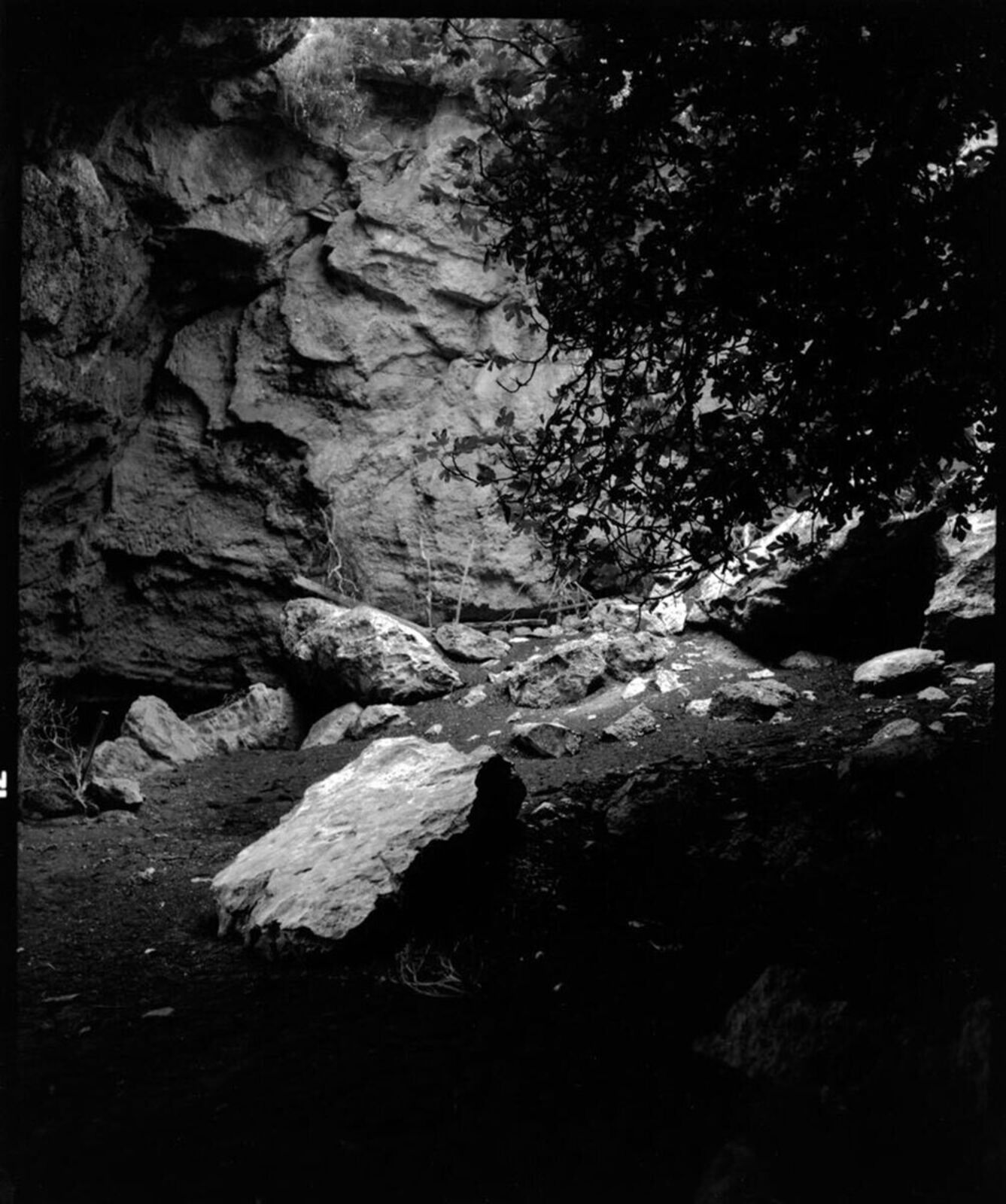 The Garden of the Hesperides II by John Stathatos, 1993