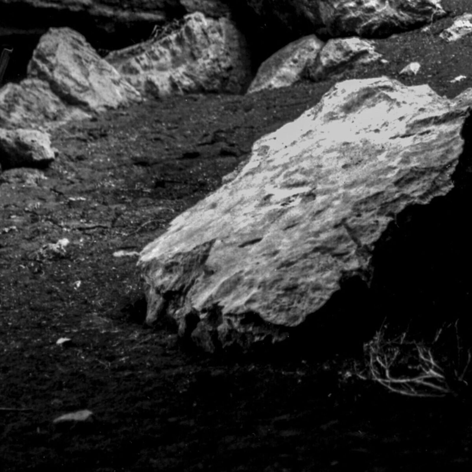 Artwork by John Stathatos, The Garden of the Hesperides II, Made of Archival Giclée Pigment Print on Archival Paper 