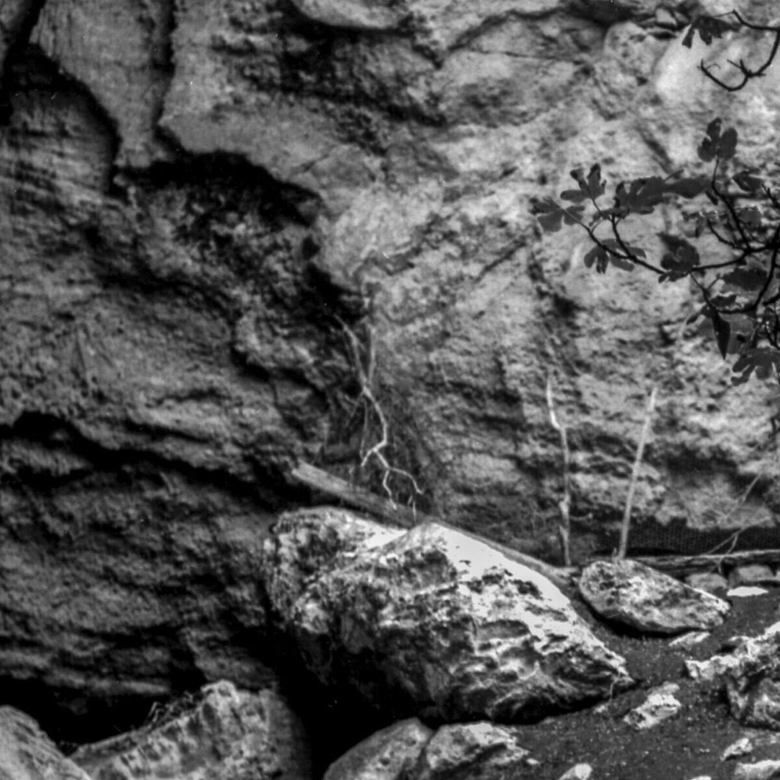 Artwork by John Stathatos, The Garden of the Hesperides II, Made of Archival Giclée Pigment Print on Archival Paper 