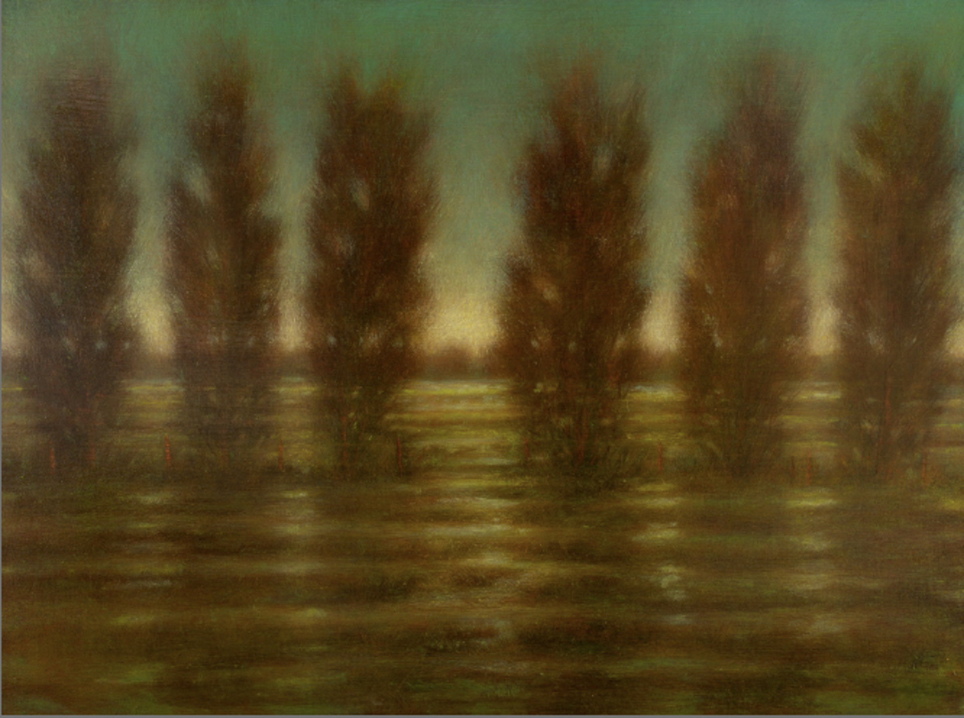 Morning After Heavy Rain by John Van Dreal, 2023