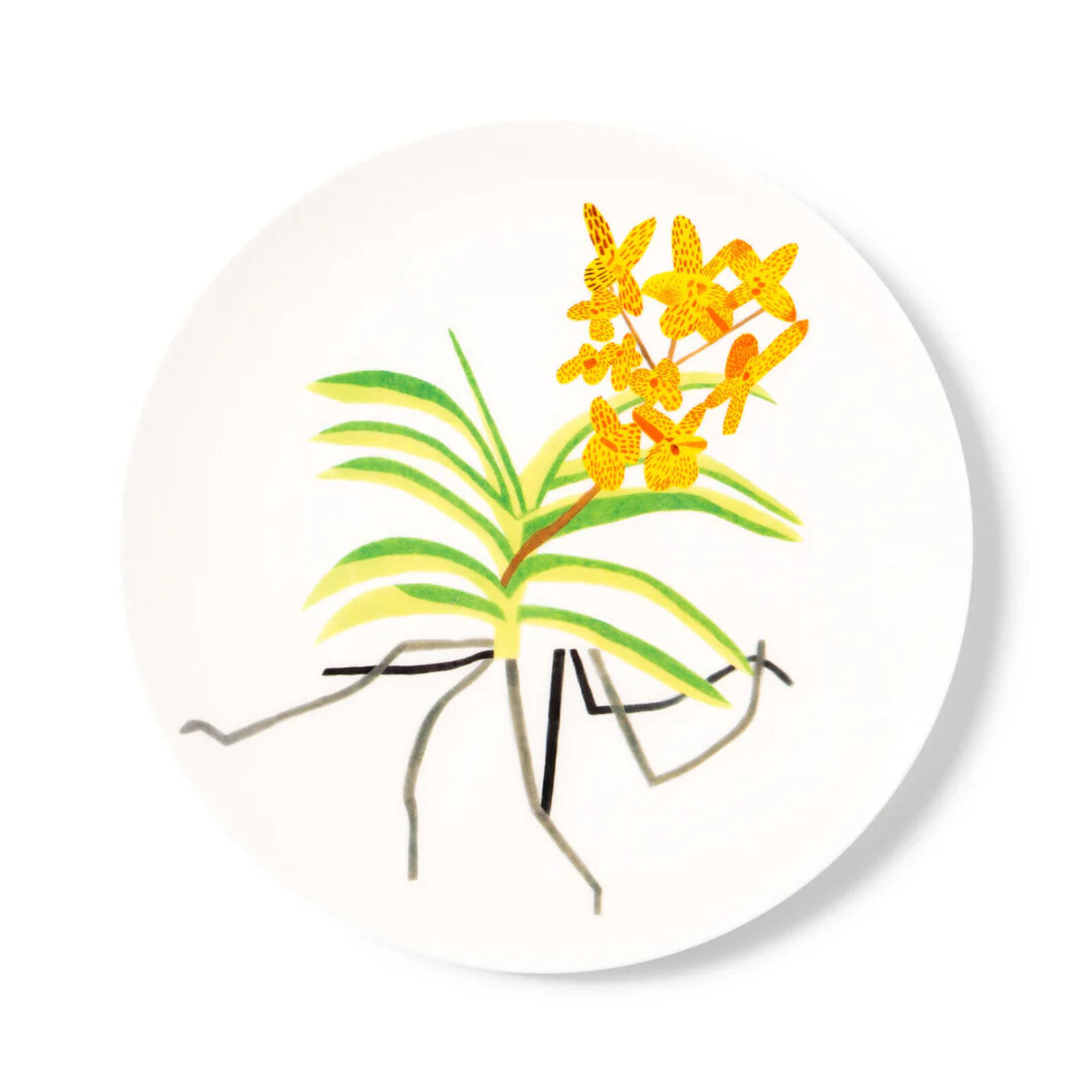 Clipping Plate, 2021 by Jonas Wood, 2021