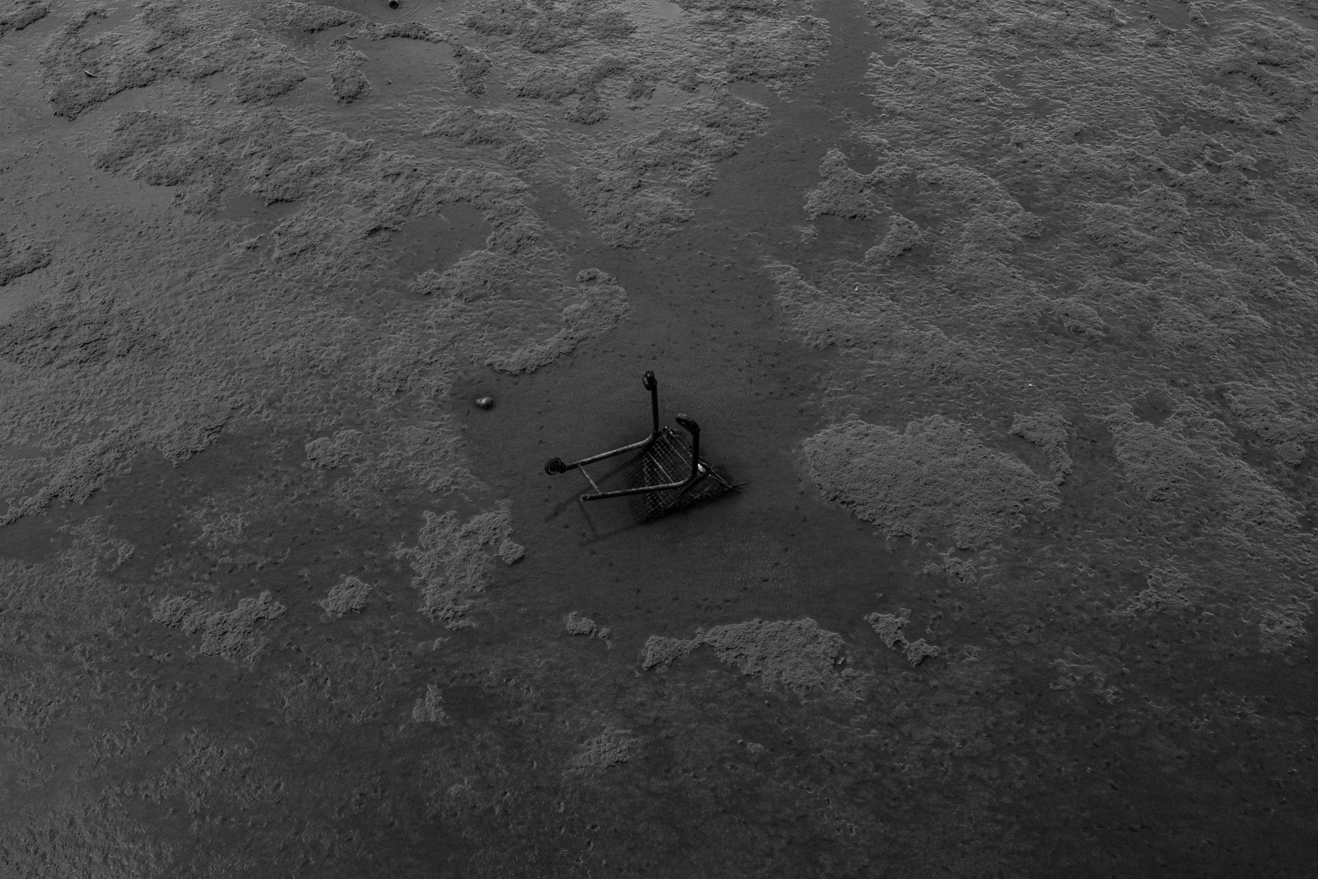 Estuary #16 by Jonathan Moore, 2019