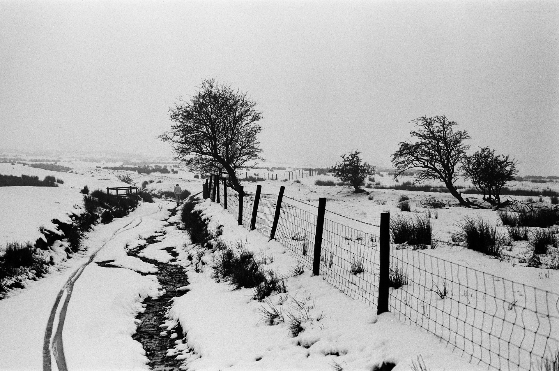 Peak Mid Winter #9 by Jonathan Moore, 2019