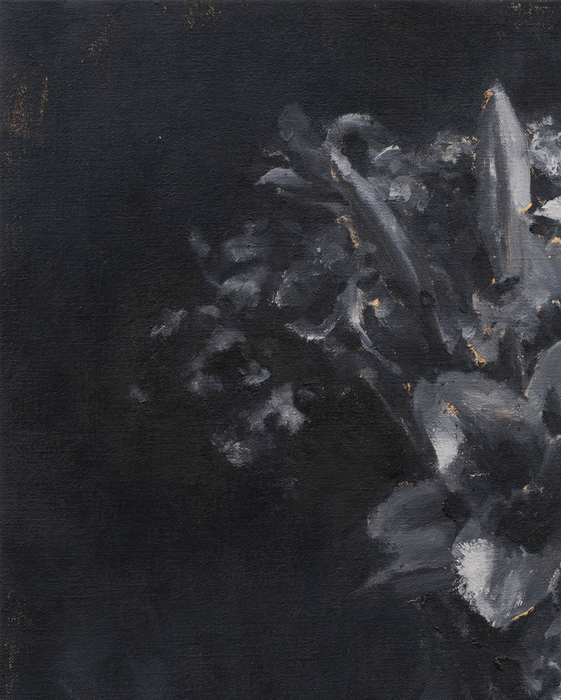 A monochromatic still life of lilies in a vase against a dark background.