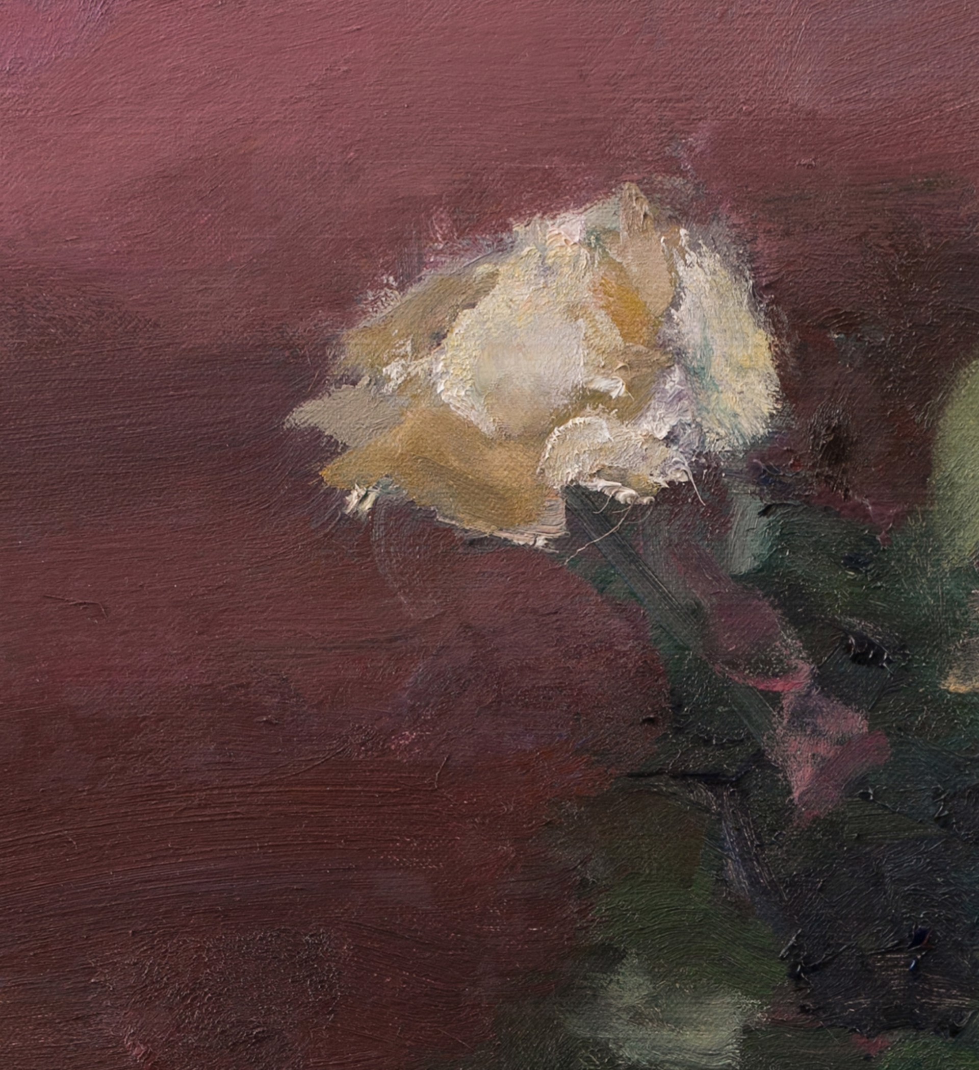 A painting of white roses in a vase on a pink background.