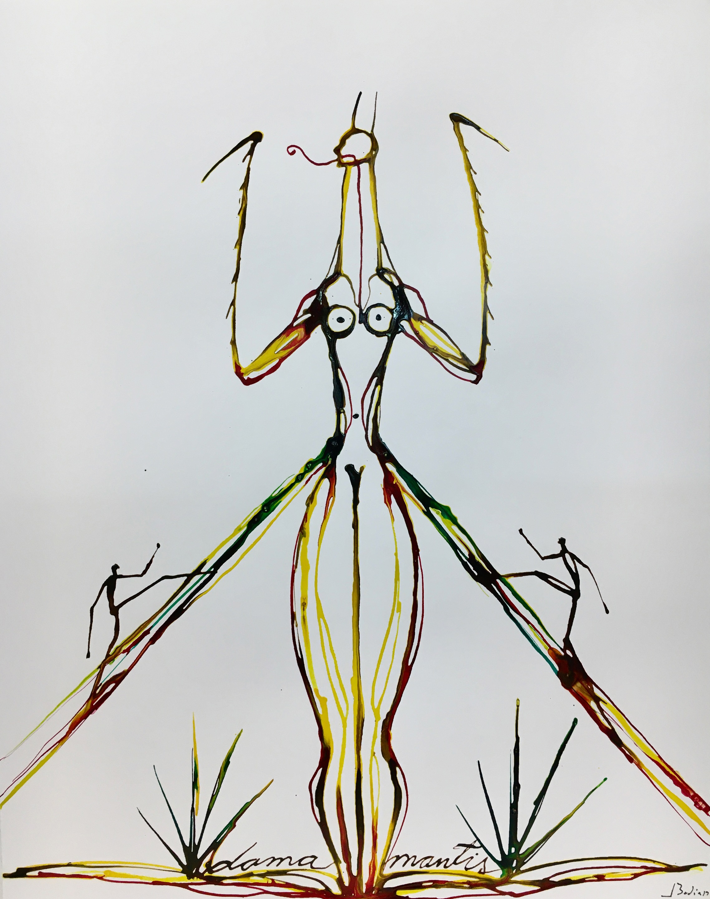 A drawing of a praying mantisch on a white background.