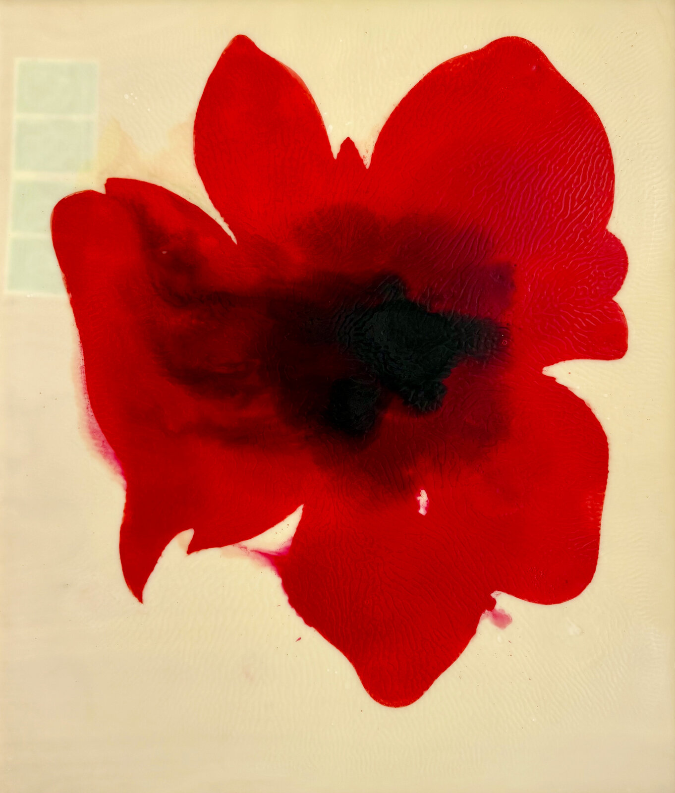 A bold red poppy flower with a dark center on an off-white textured background.