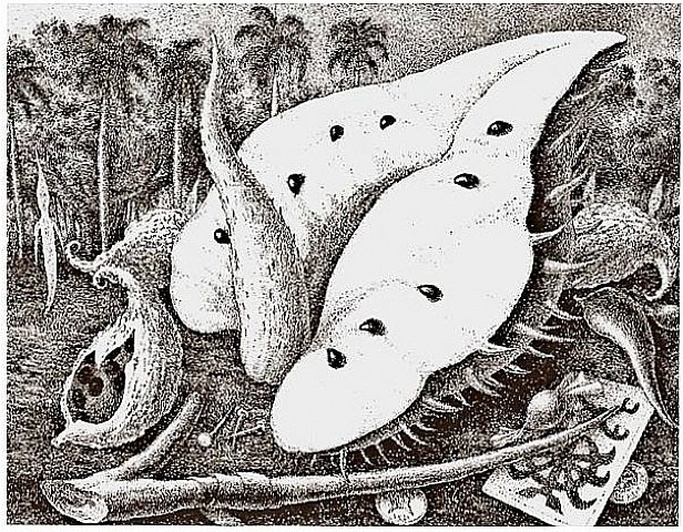 Aguamor de candiafuertes II. by José Ramón Díaz Alejandro, 2003